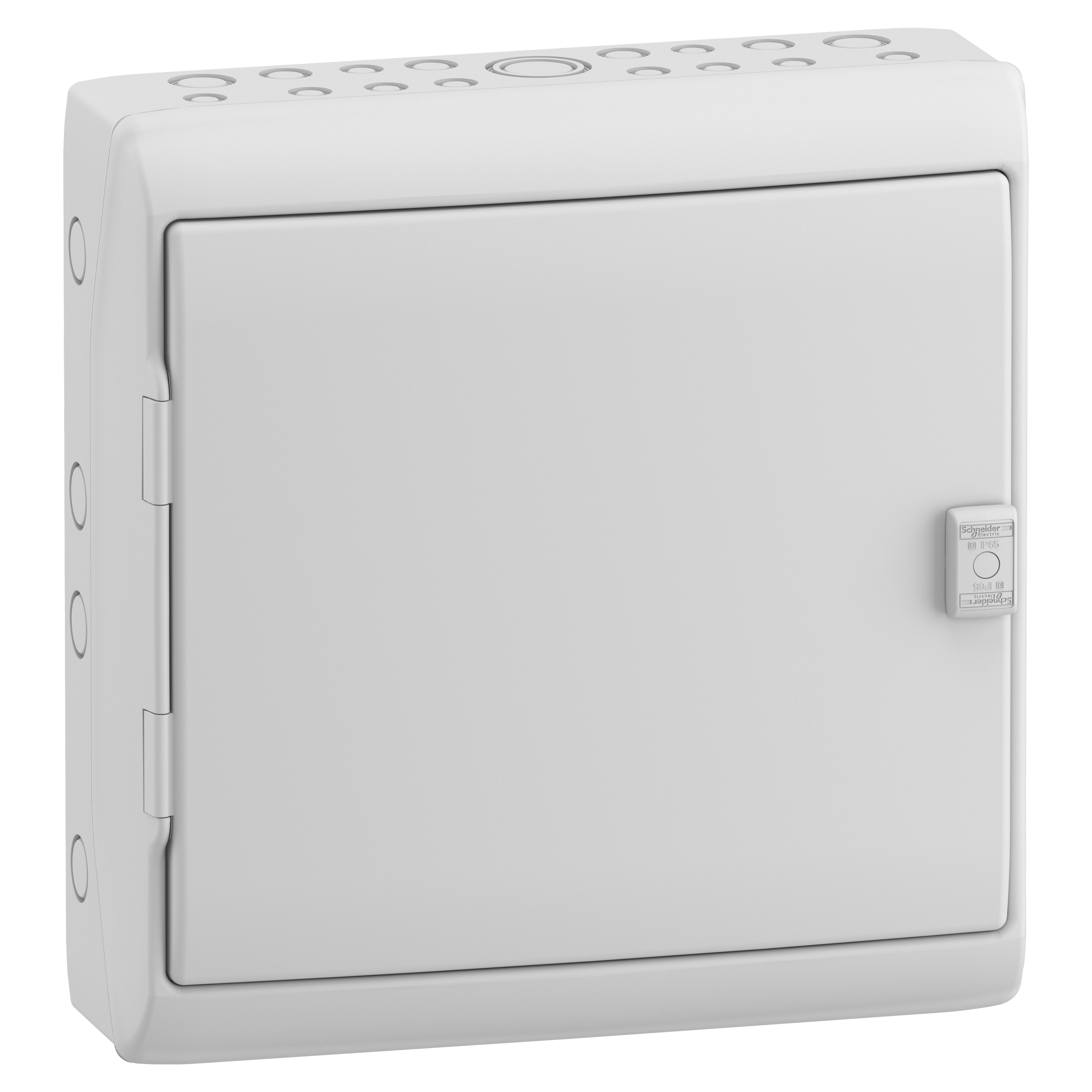 Schneider Electric Kaedra universal enclosure with door 448 x 460 mm, with mounting plate, IP65