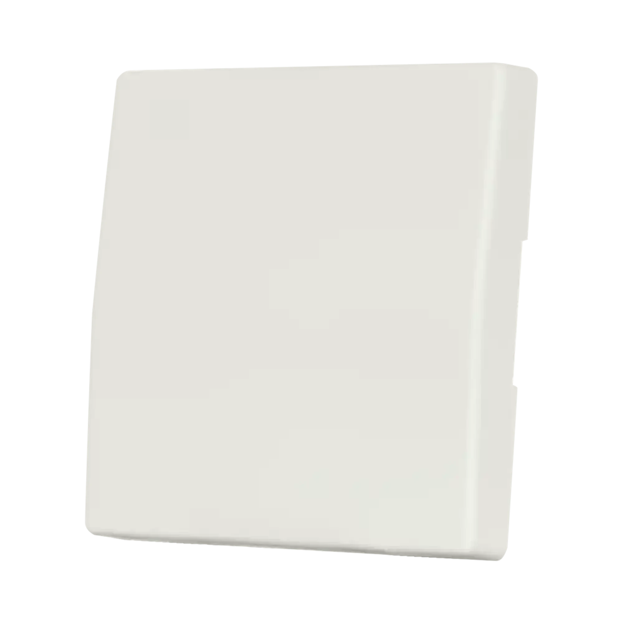 ION INDUSTRIES 20.300.015 Control rocker switch V1/J1 Matt Alpine White (img_002)