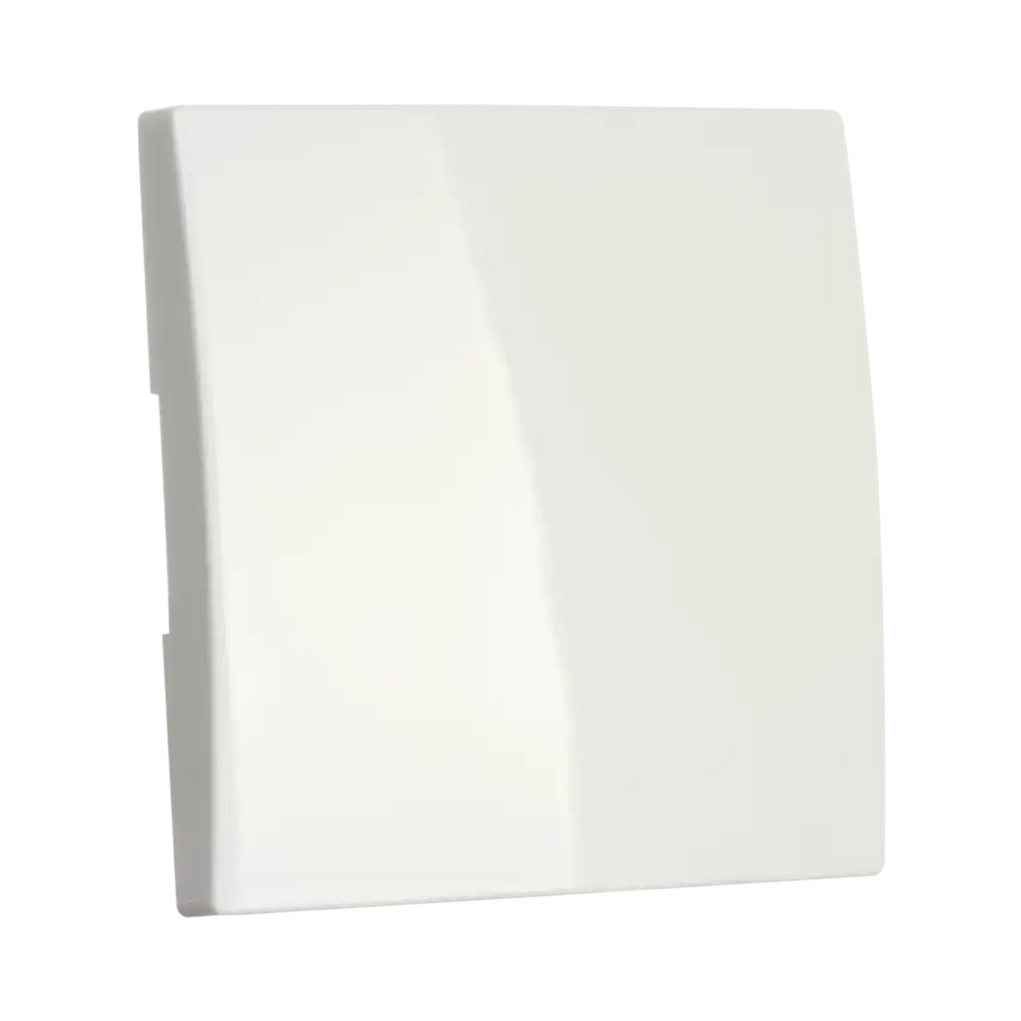 ION INDUSTRIES 20.302.015 Control rocker switch E1 Matt Alpine White (img_003)