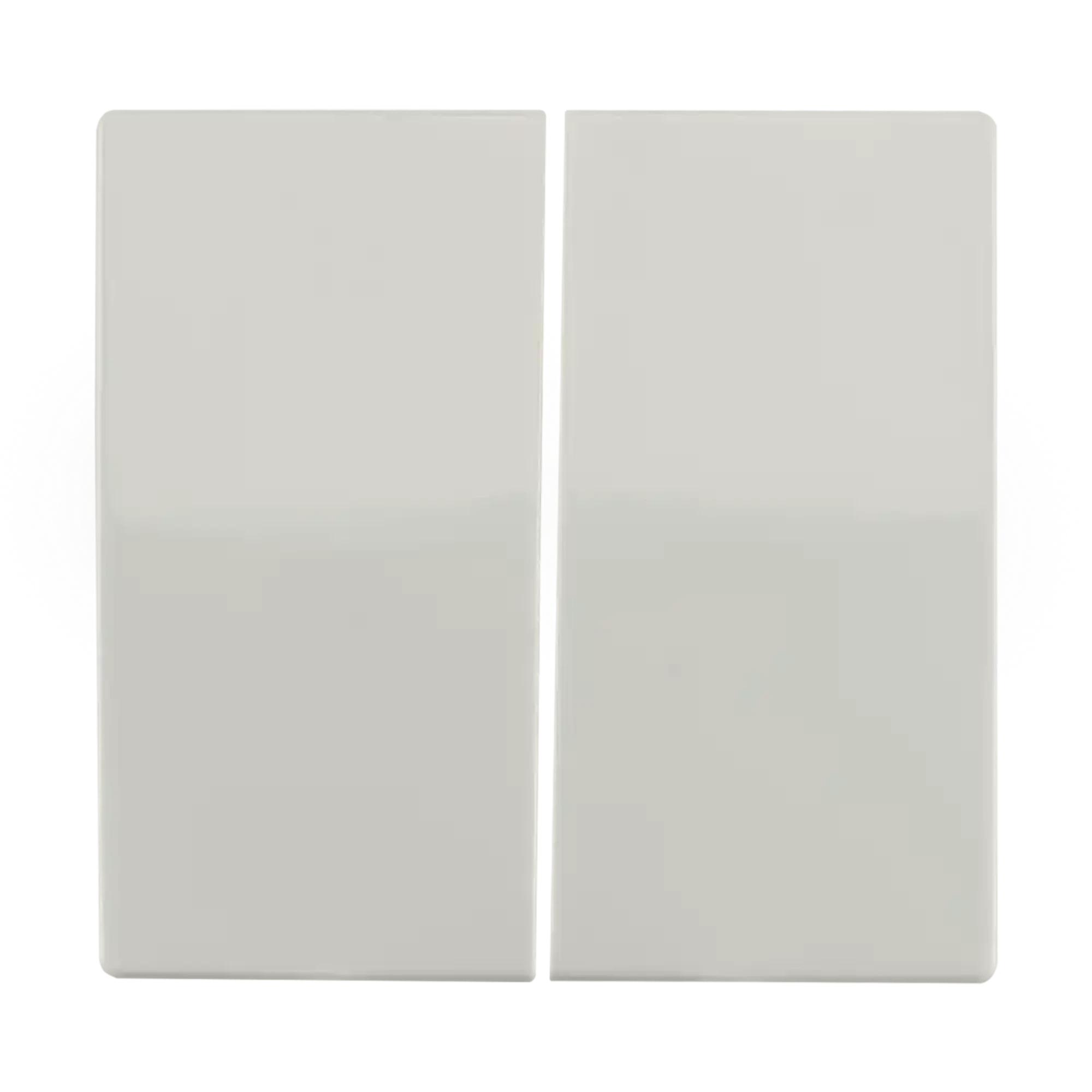 ION INDUSTRIES 20.300.114 Control rocker Series switch V1/J1 Alpine White (img_001)