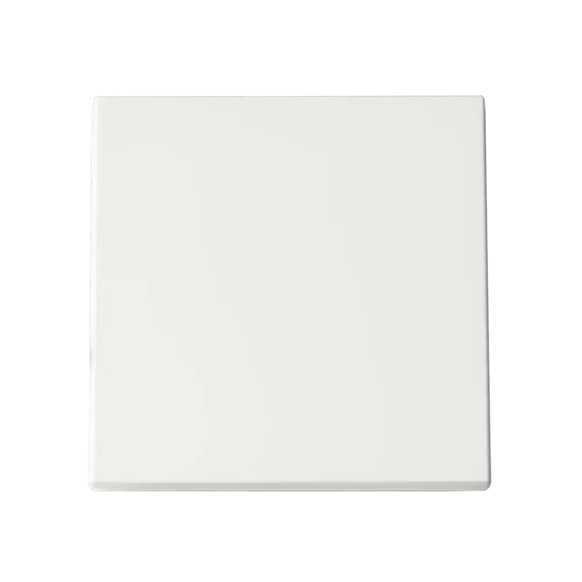 ION INDUSTRIES 80.300.080 Touch dimmer Button Single V1/J1 White (img_001)