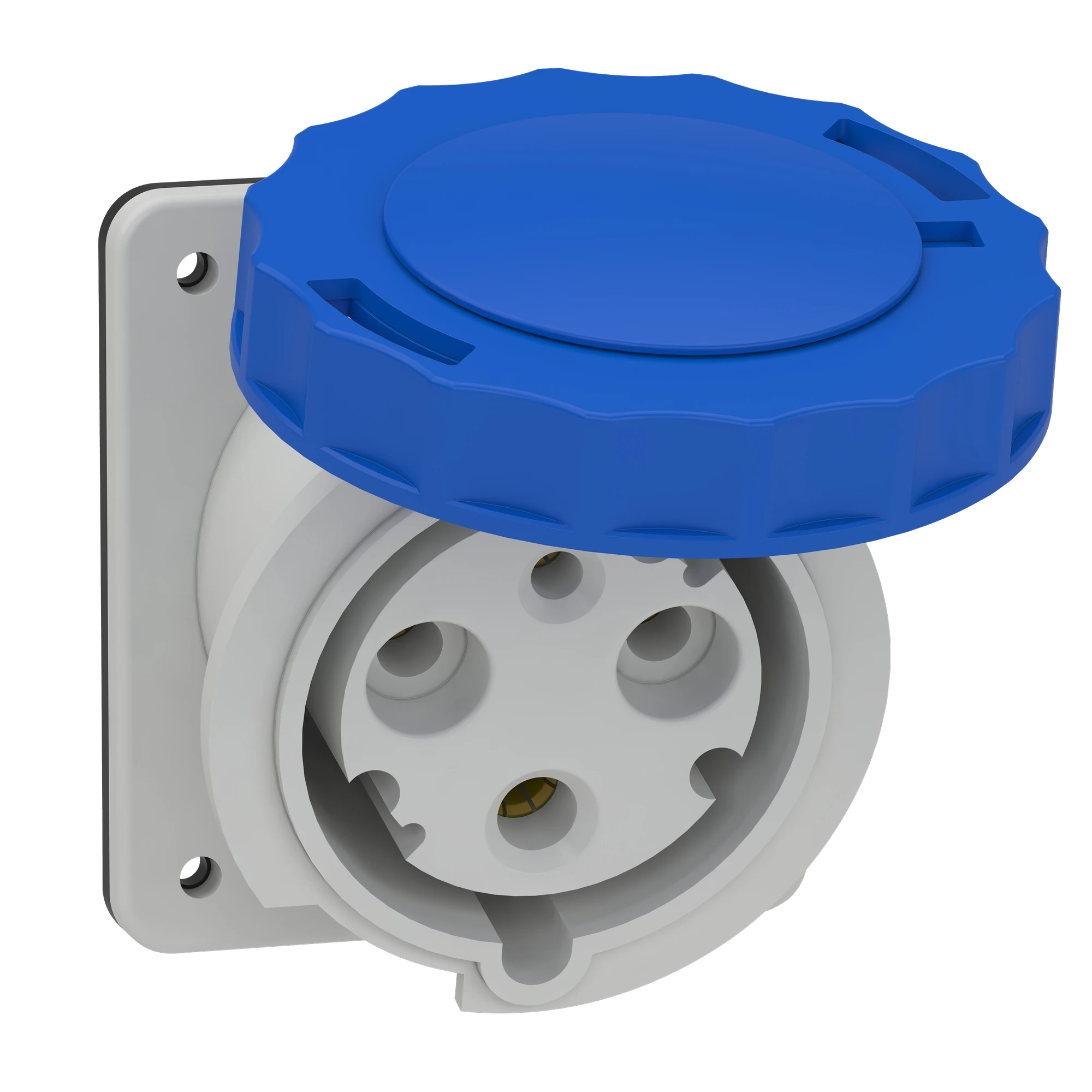 Schneider Electric 81278 Surface-mounted socket, 63A, 2p+E, 200-250 V AC, IP67 (img_001)