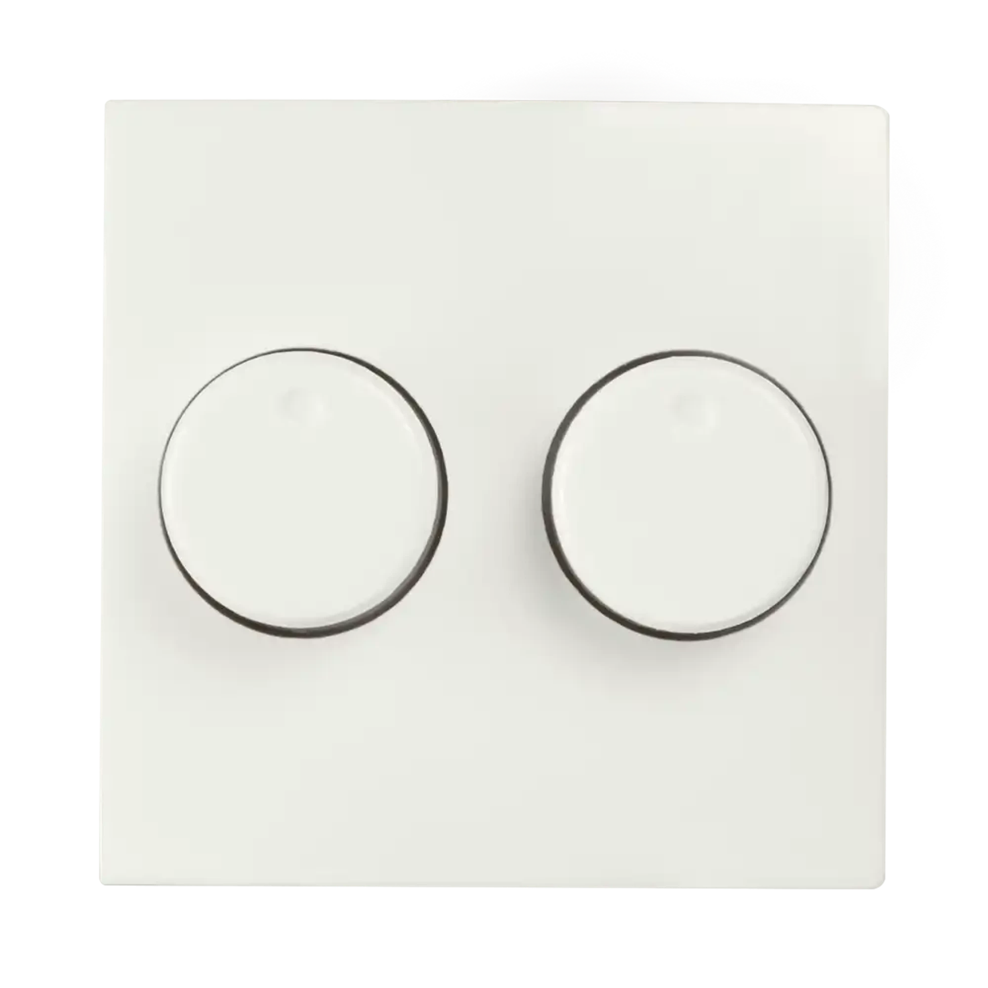 ION INDUSTRIES 20.302.415 Central plate Dimmer button Duo E1 Matt Alpine White (img_001)