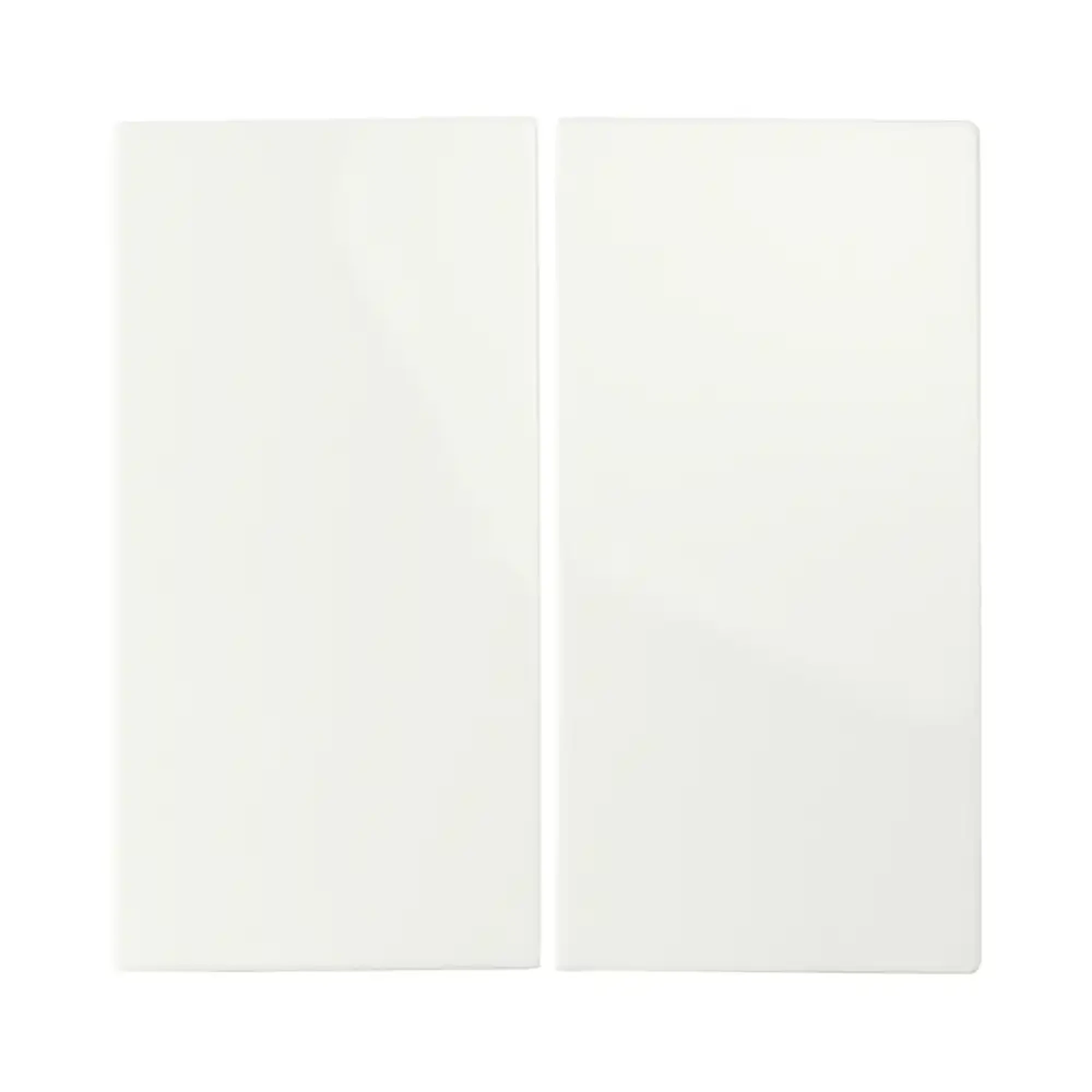ION INDUSTRIES 20.302.114 Control rocker Series switch E1 Alpine White (img_001)