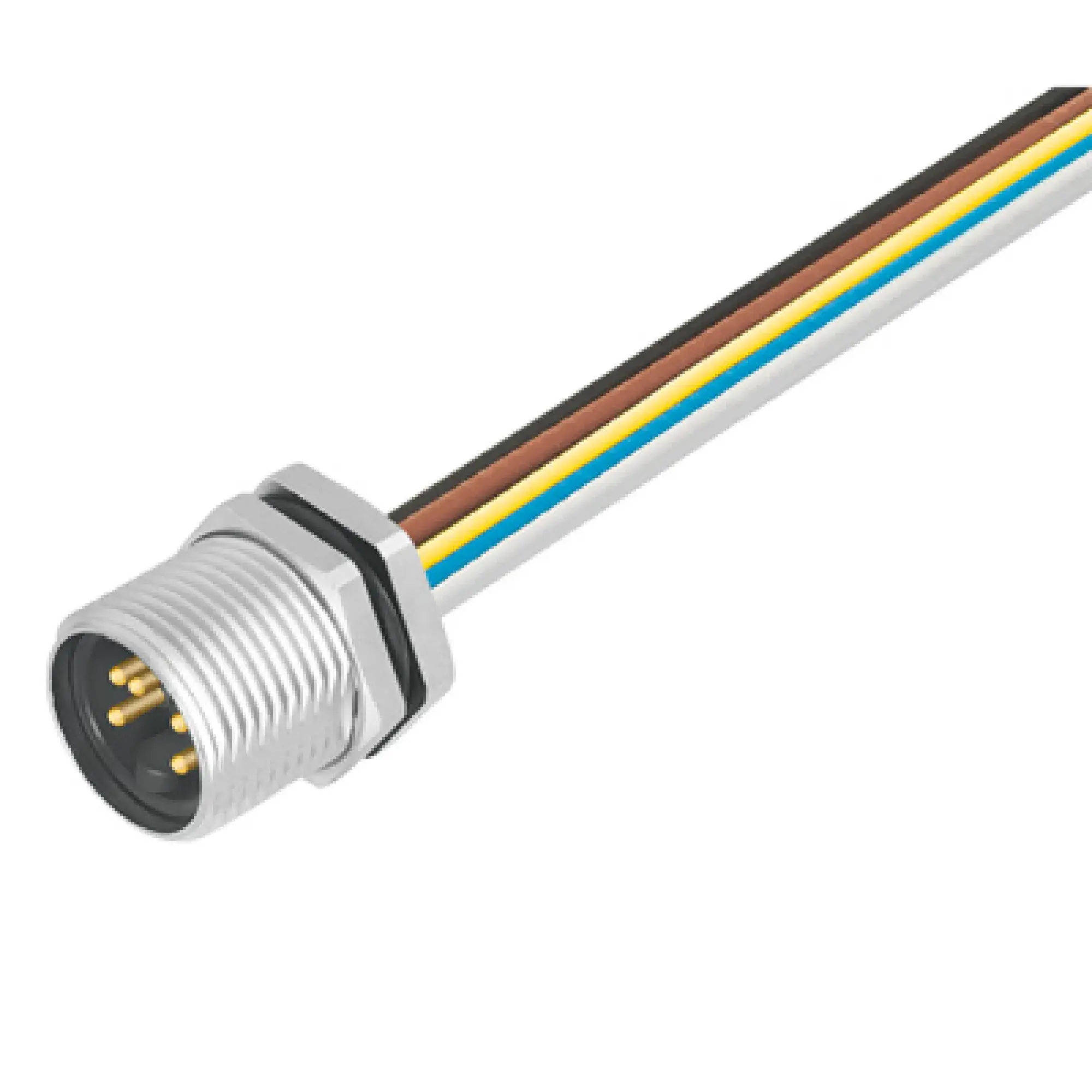 Weidmüller 1292490000 Round plug ,Built-in (with cable), Pin, 7/8", Number of poles: 5, 0.2 m, Cable glands: 7/8", 0.75 mm², PUR/ PUR (img_001)