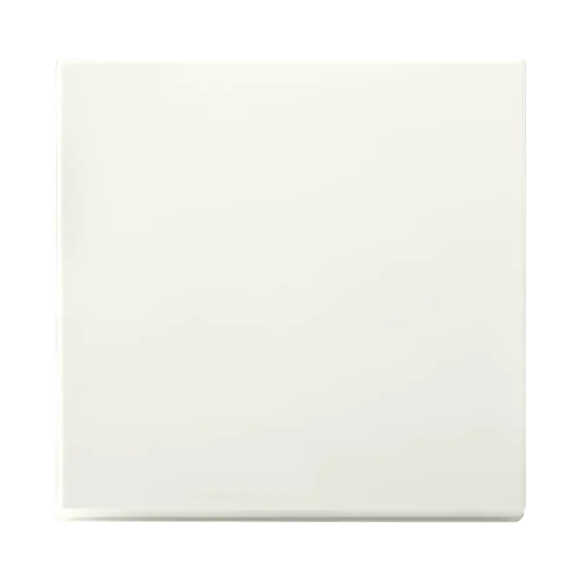 ION INDUSTRIES 80.300.085 Touch dimmer Button Single V1/J1 Matt Alpine White (img_001)