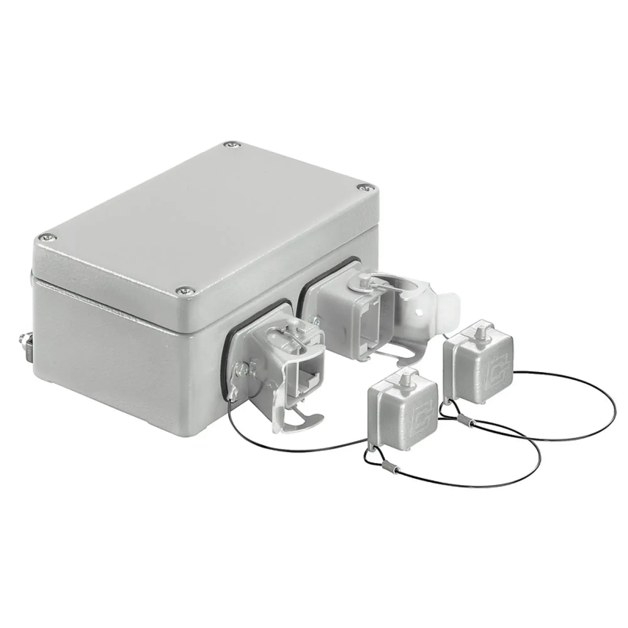 Weidmüller 1966290000 Junction box, IP67, Variant 5, 2 ports, straight (img_001)