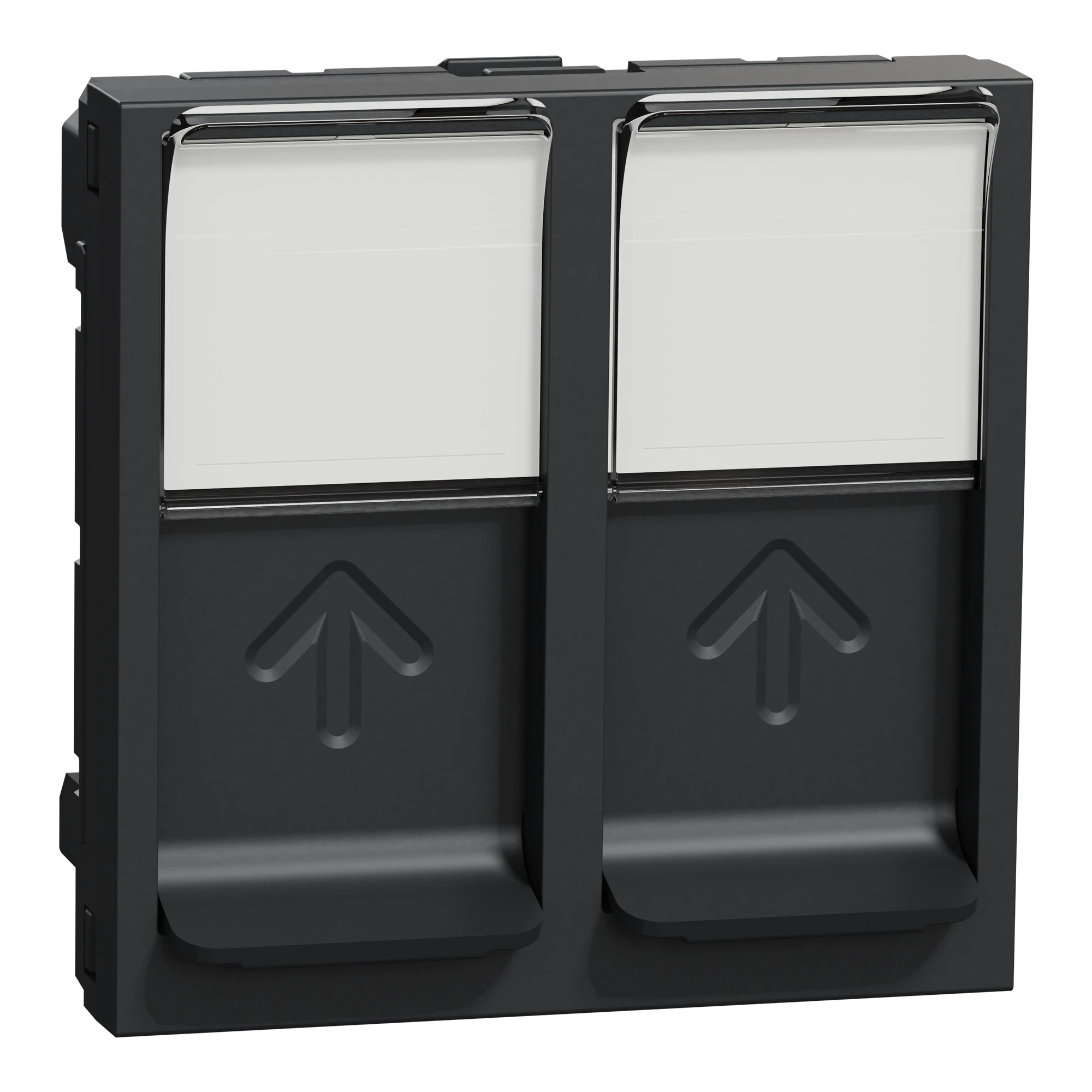 Schneider Electric NU942054 Optiline 45/Unica Central Plate Data Outlet 2xRJ45 Dust Shield with Labeling Field Anthracite (img_001)