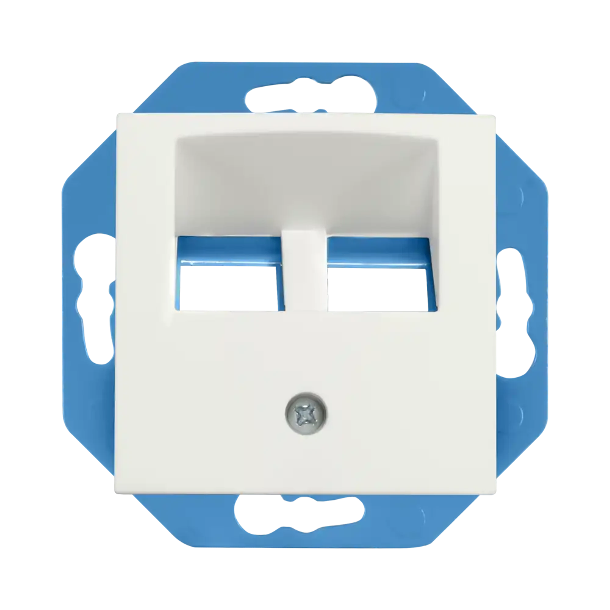 ION INDUSTRIES 13.302.115 Modular Jack 30° 2-gang with Central Plate E1 Matt Alpine White (img_001)