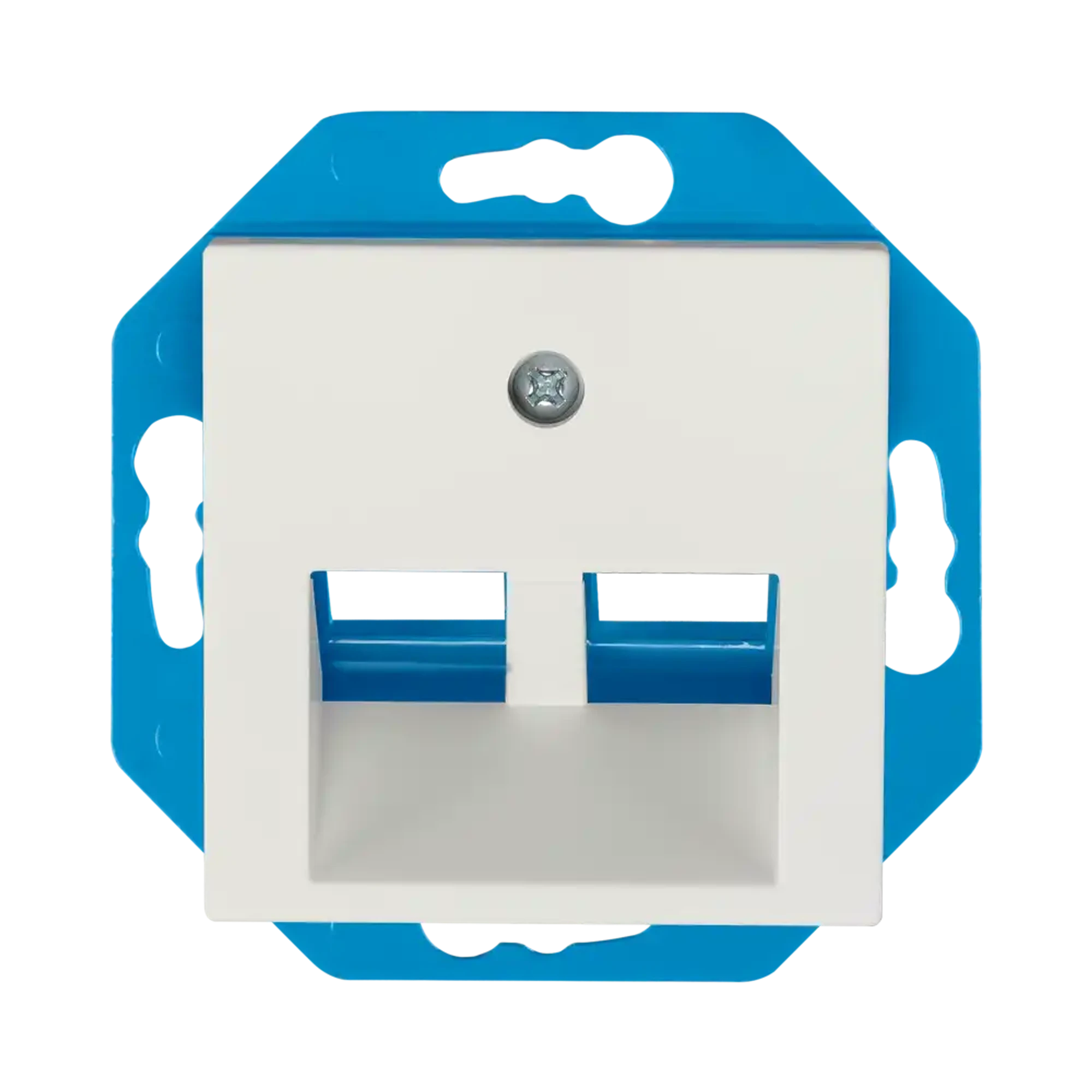 ION INDUSTRIES 13.300.115 Modular Jack 30° 2-gang with Central Plate V1/J1 Matt Alpine White (img_001)