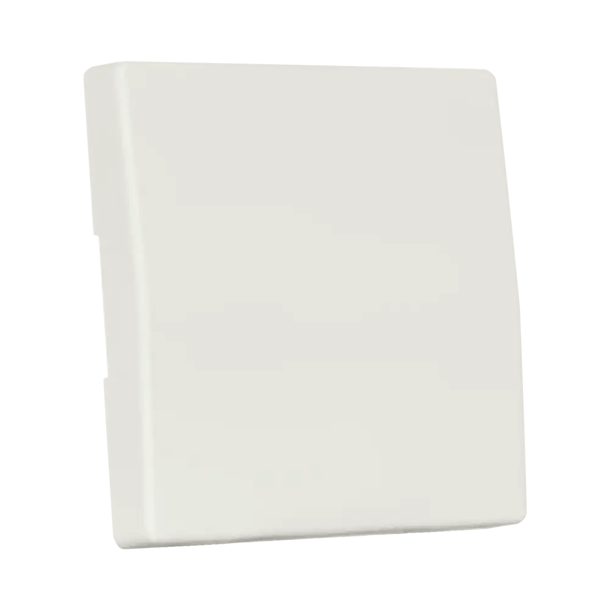 ION INDUSTRIES 20.300.015 Control rocker switch V1/J1 Matt Alpine White (img_003)