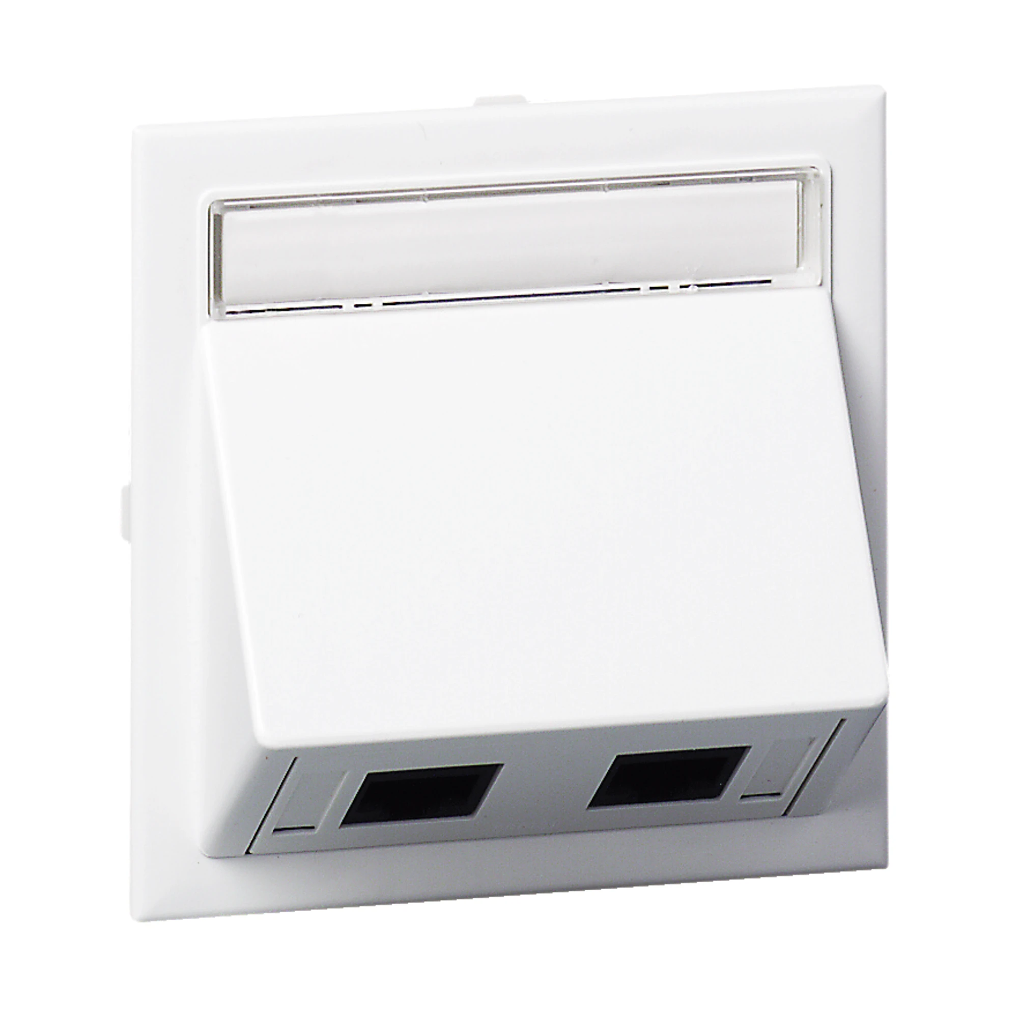 Schneider Electric 5974105 Connection kit angled 2XActassi 250 cat6 STP white RAL9016 Type:CYB-DP (img_001)