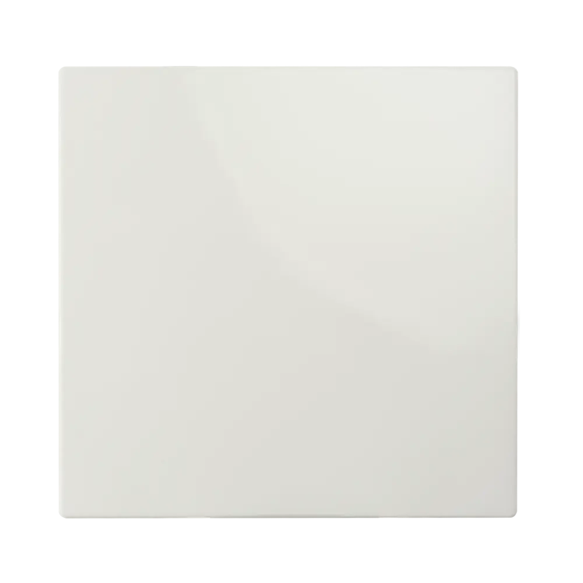 ION INDUSTRIES 20.302.014 Control rocker switch E1 Alpine White (img_001)