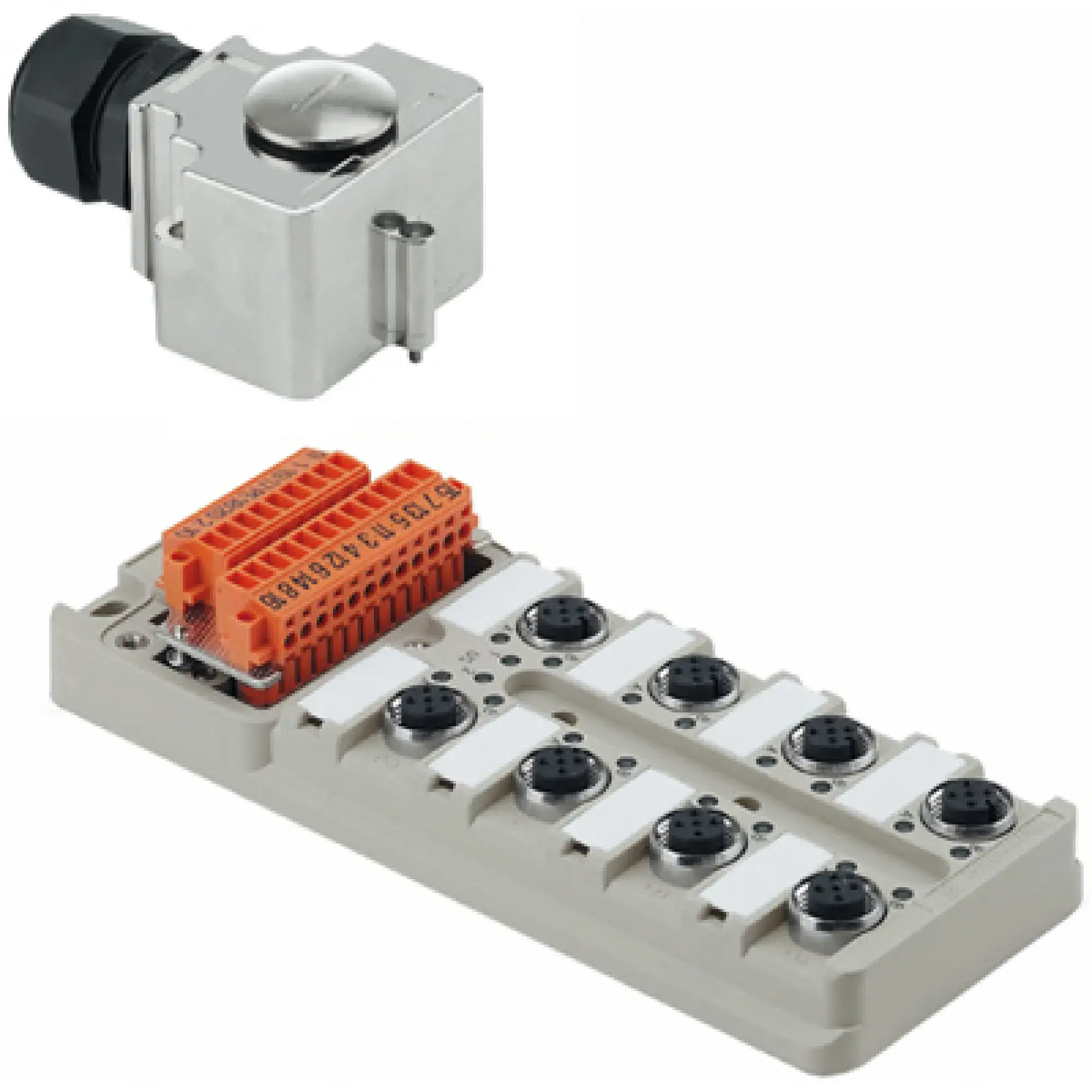 Weidmüller 1705943000 Sensor-actuator passive distributor (without cable), Hood version with M25 outlet, M12, 30 V, A-coded, LED: Yes, LED initiator: Yes, Wiring type: PNP (img_001)