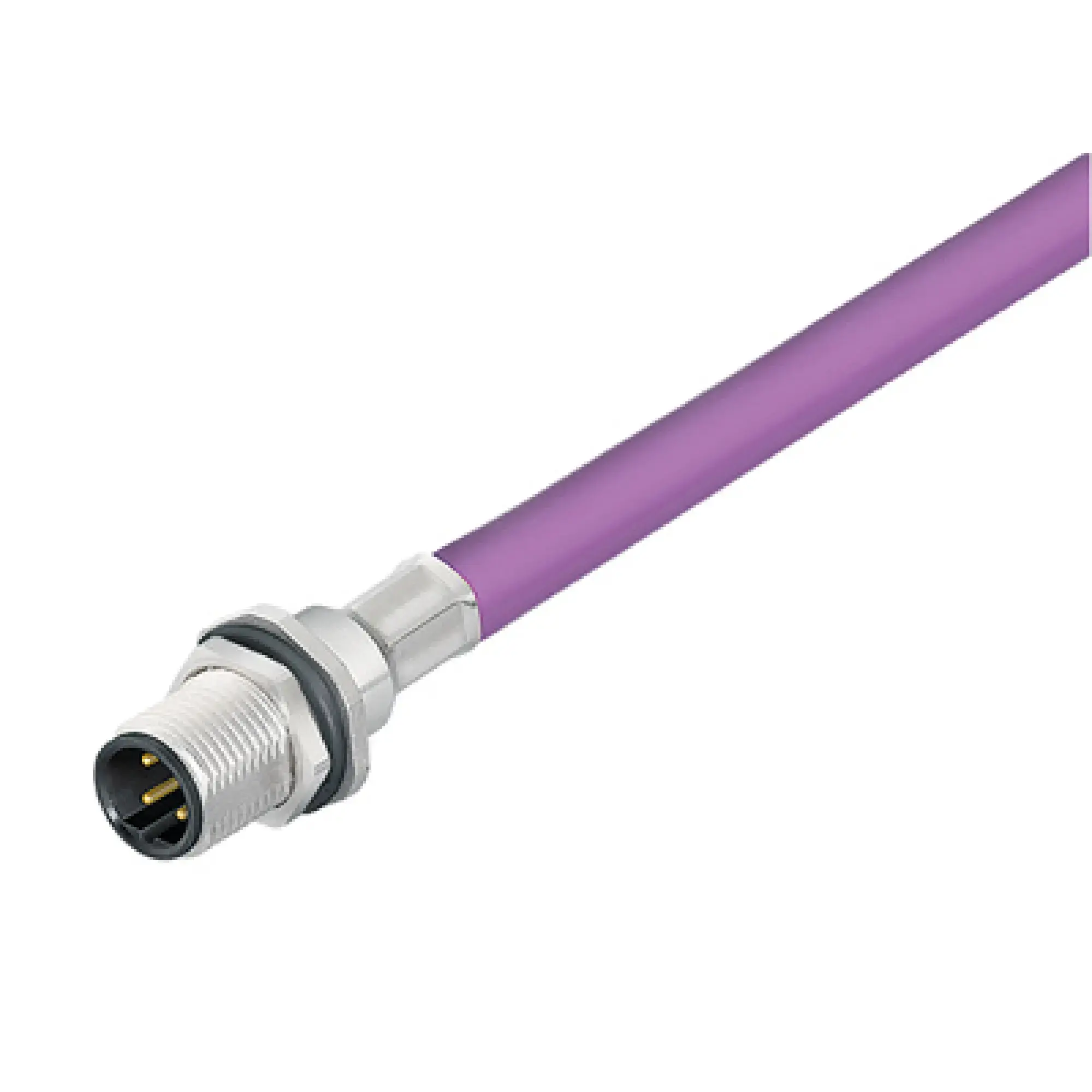 Weidmüller 1279490100 Round plug ,Built-in (with cable), Pin, M12, Number of poles: 2, 1 m, Cable glands: PG 9, 0.25 mm², PUR halogen-free (img_001)