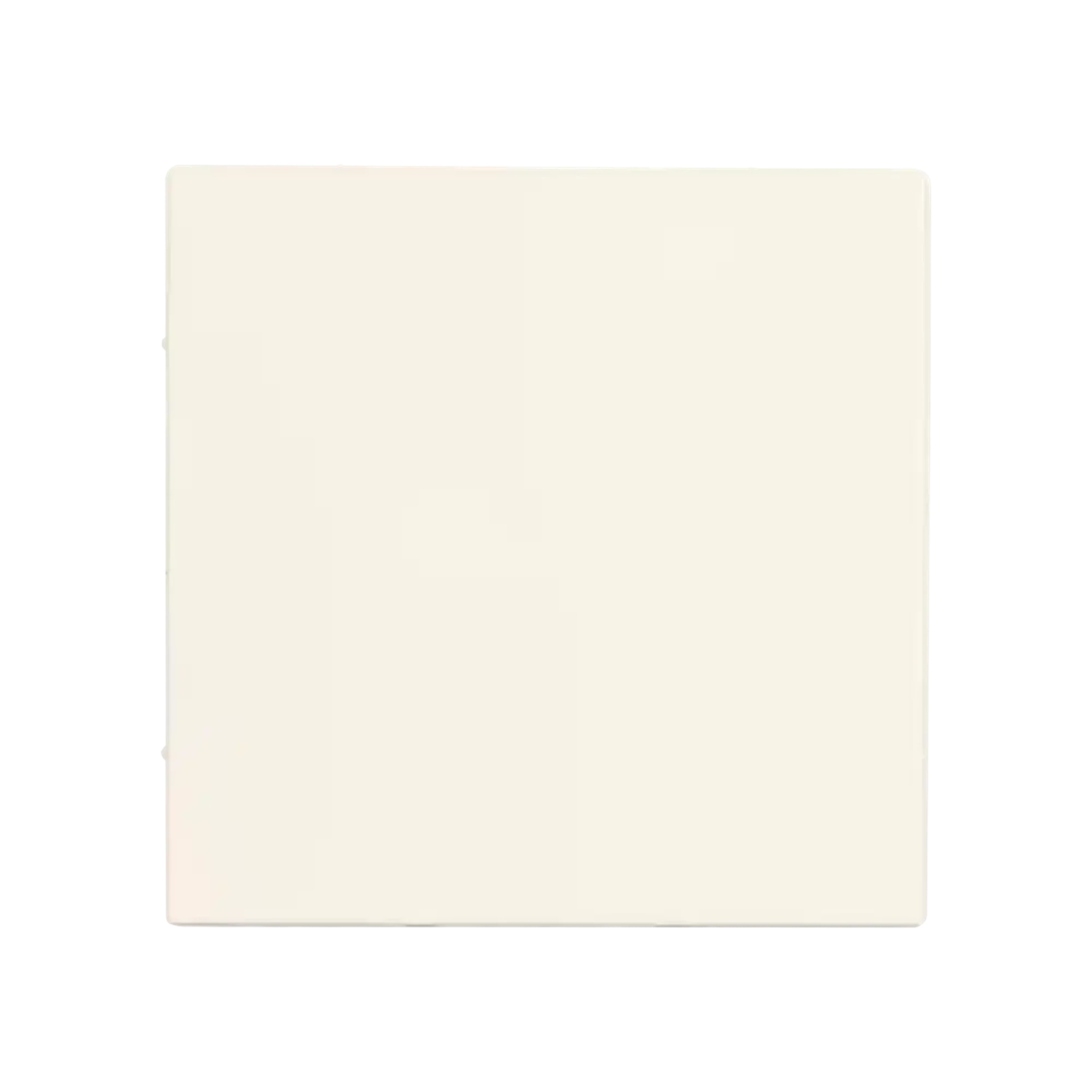 ION INDUSTRIES 80.300.083 Touch dimmer Button Single V1/J1 Matt Pure white (img_002)
