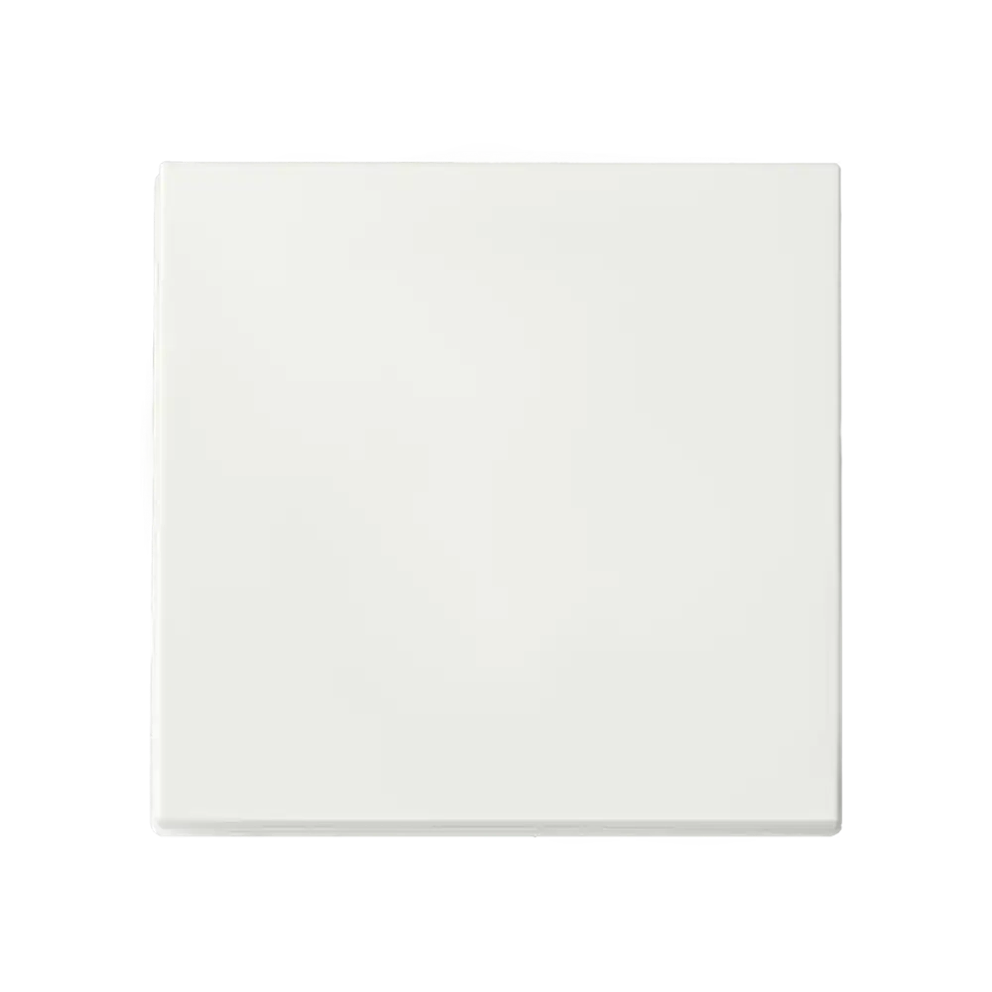 ION INDUSTRIES 80.300.081 Touch dimmer Button Single V1/J1 Matt White (img_001)