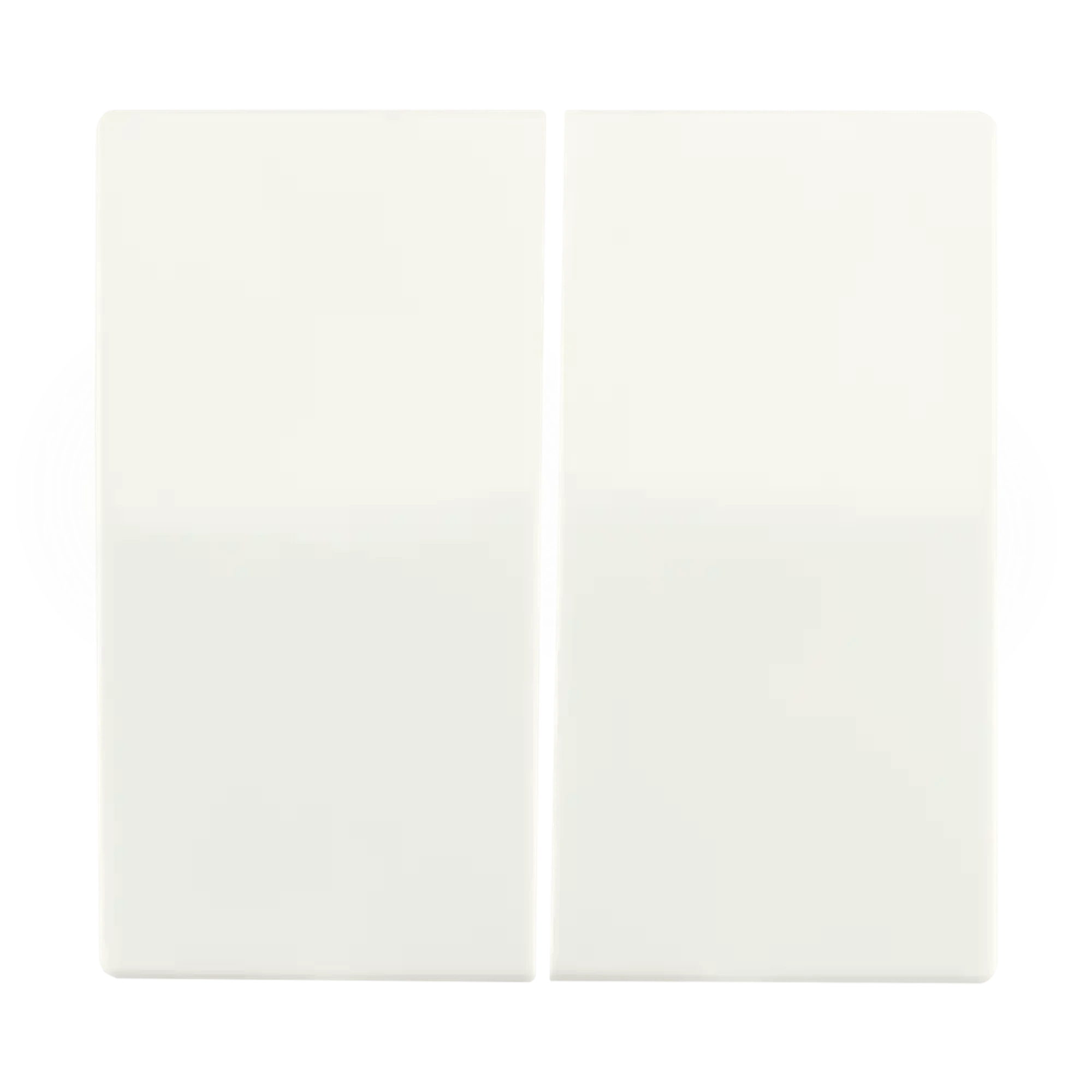 ION INDUSTRIES 20.300.115 Control rocker Series switch V1/J1 Matt Alpine White (img_001)