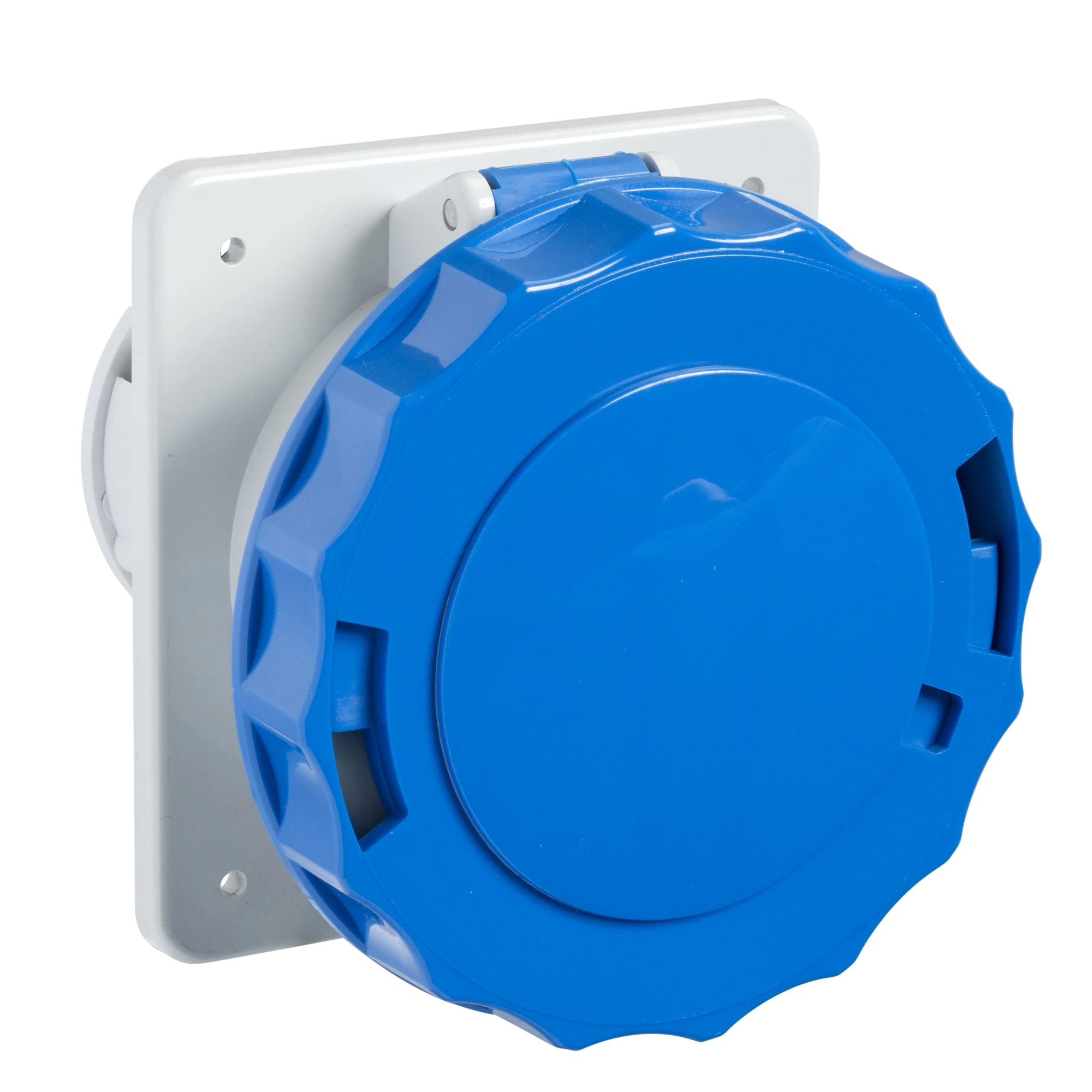 Schneider Electric 81679 Mounting socket straight - 63A, 3p+E, 200-250 V AC, IP67 (img_001)