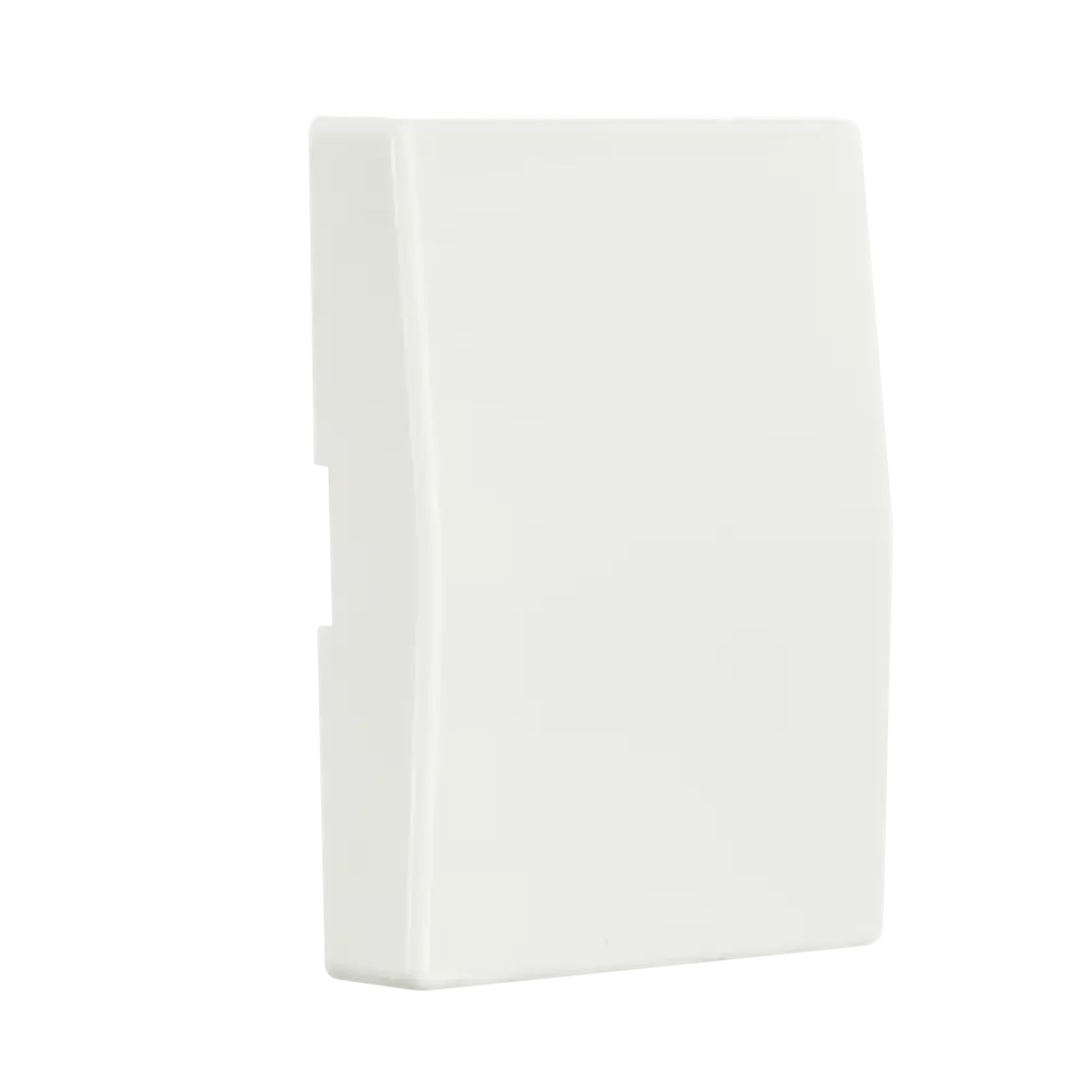 ION INDUSTRIES 20.300.014 Control rocker switch V1/J1 Alpine White (img_003)
