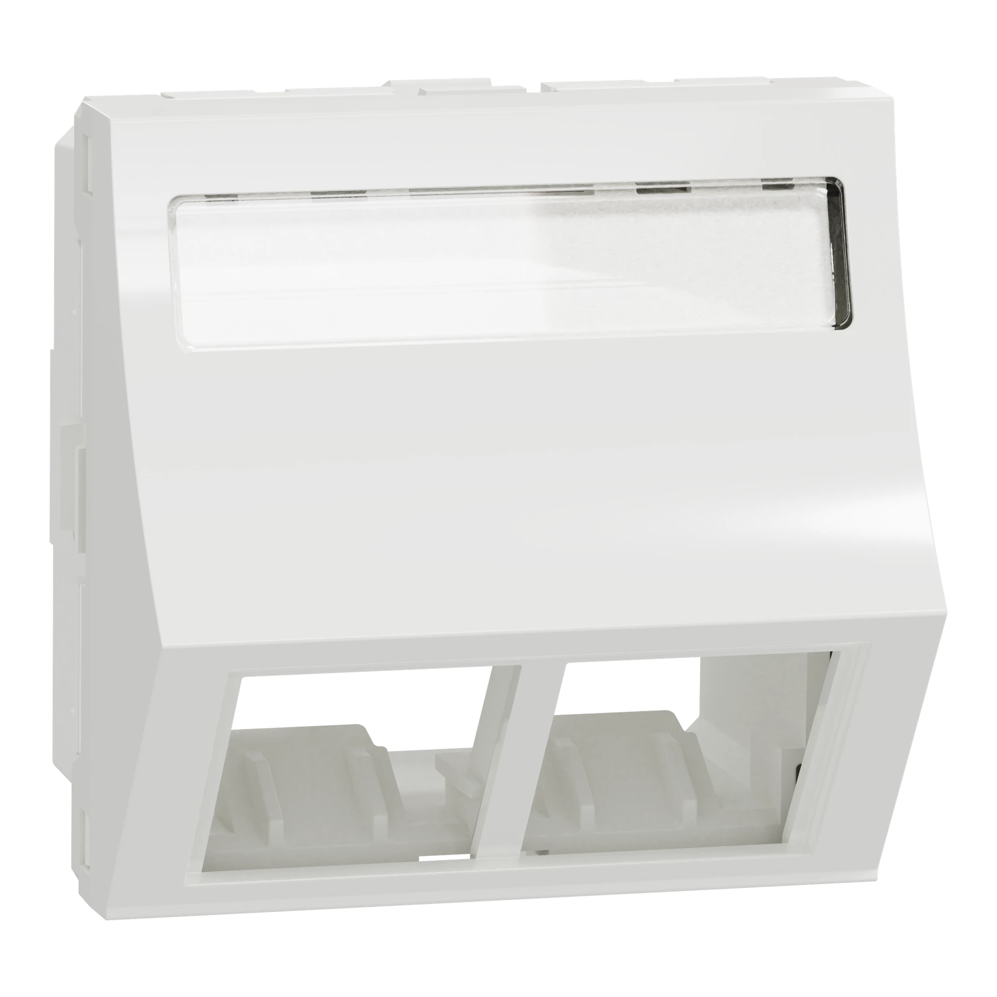 Schneider Electric NU942418 Optiline 45/Unica Central Plate Data Outlet 2xRJ45 angled with label field white (img_001)