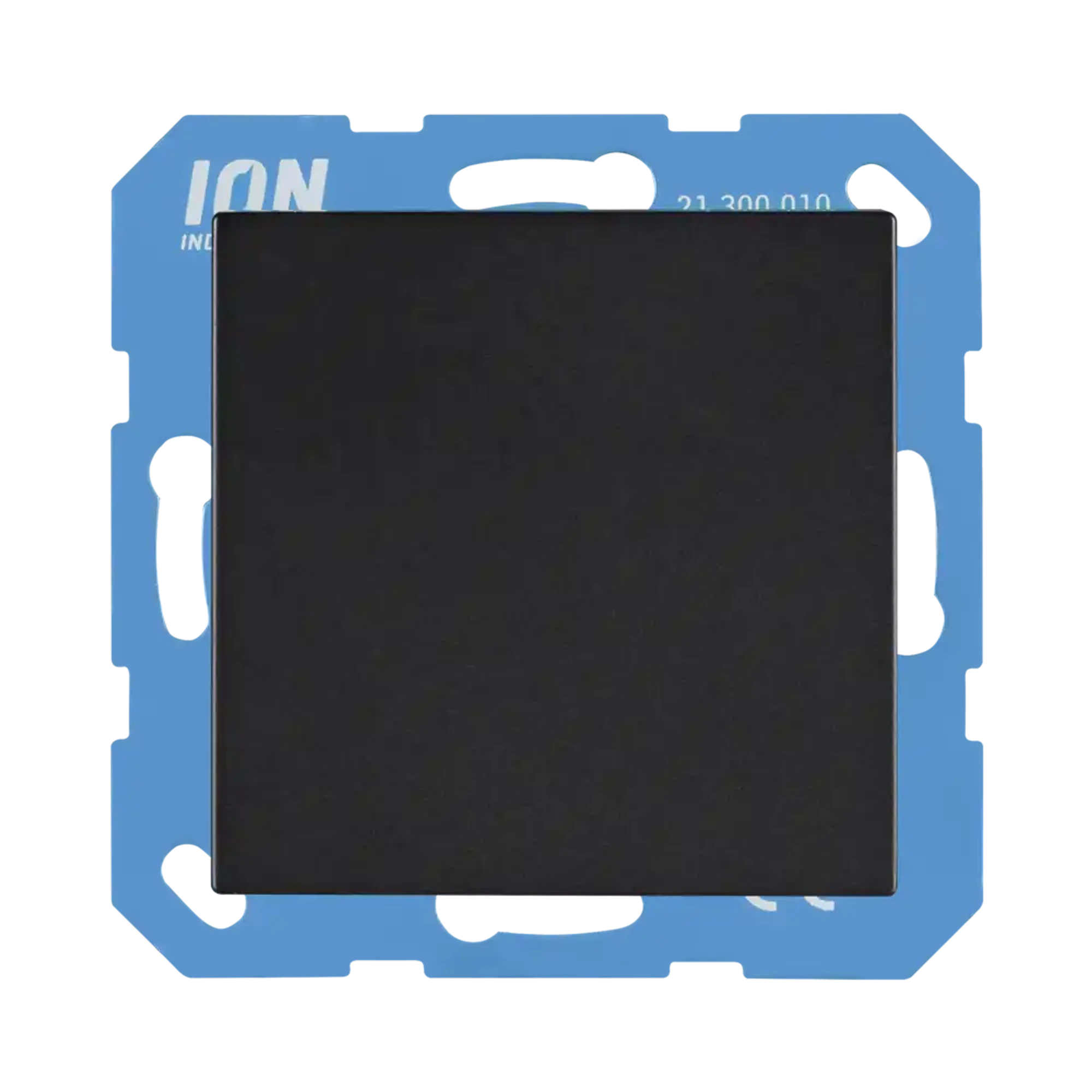 ION INDUSTRIES 21.300.016 Cover plates for blanking V1/J1 Matt black (img_001)
