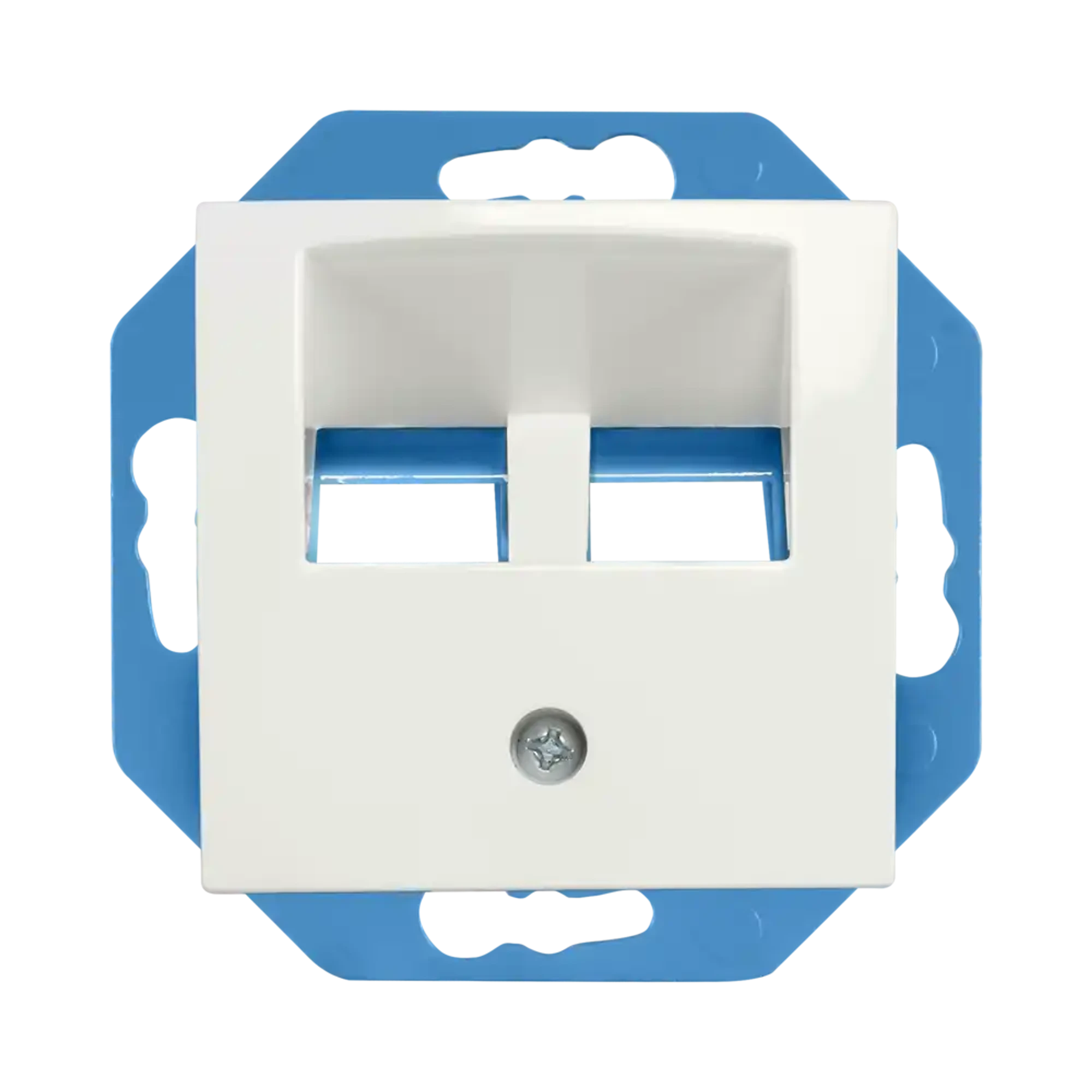 ION INDUSTRIES 13.302.114 Modular Jack 30° 2-gang with Central Plate E1 Alpine White (img_001)