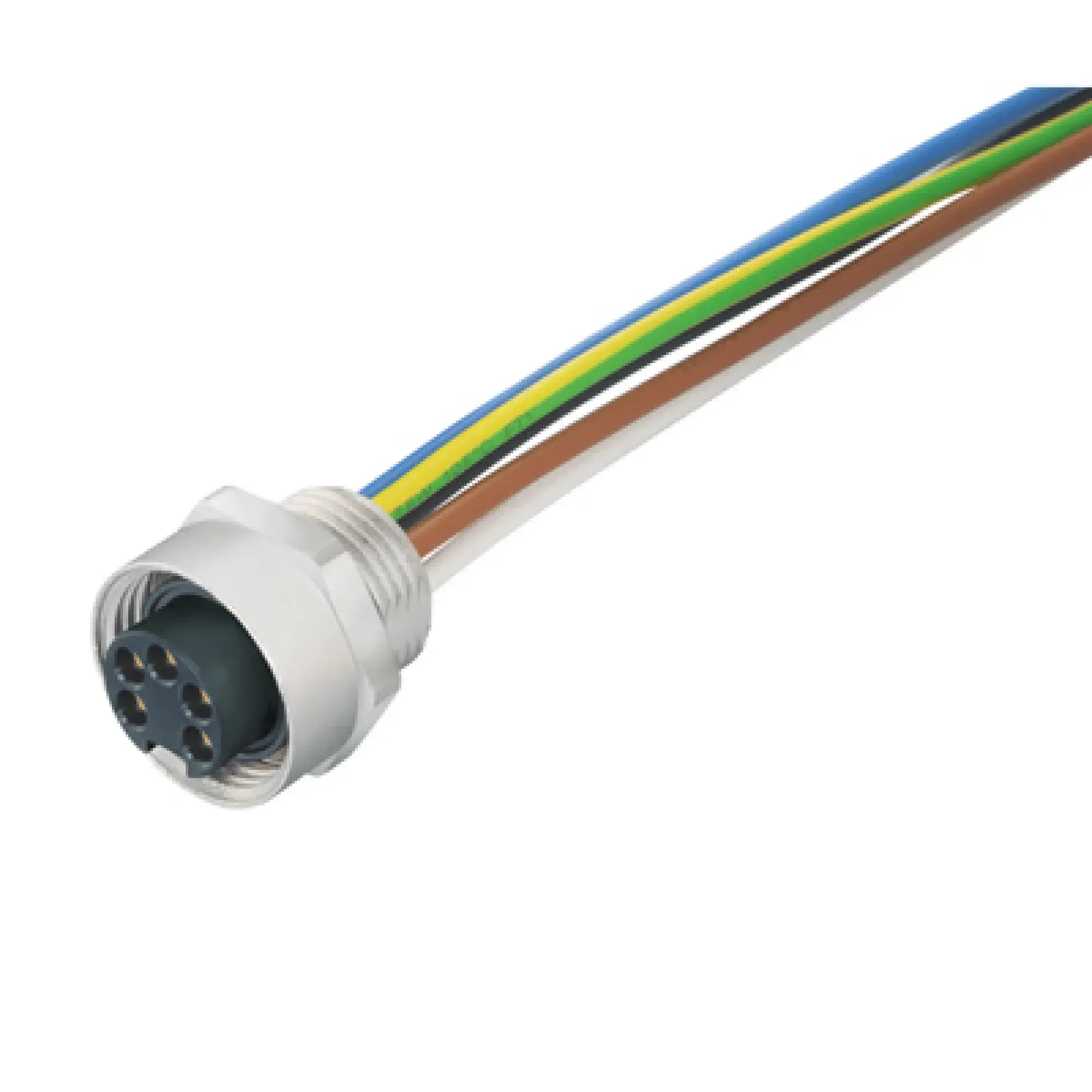 Weidmüller 1292510000 Round plug ,Built-in (with cable), Socket connector, 7/8", Number of poles: 5, 0.2 m, Cable glands: PG 13.5, 0.75 mm², PUR/ PUR (img_001)