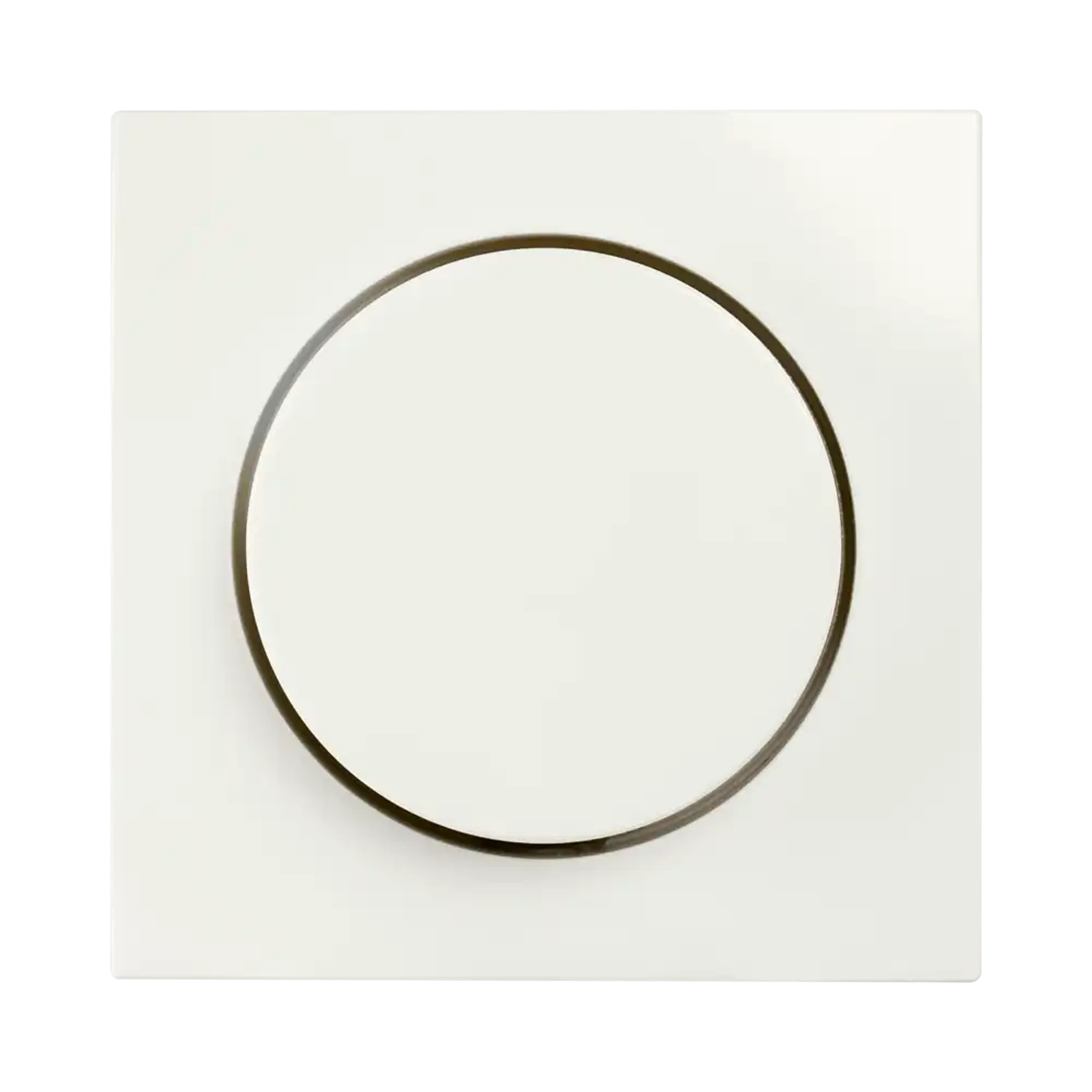ION INDUSTRIES 20.302.314 Central plate Dimmer button Single E1 Alpine White (img_001)