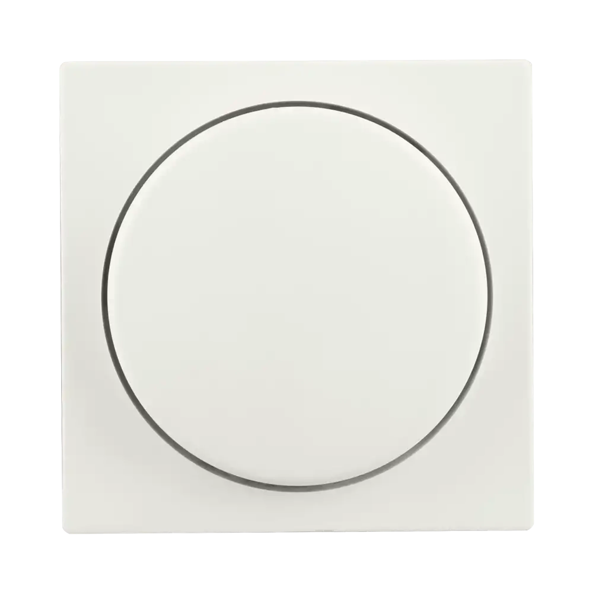 ION INDUSTRIES 20.300.315 Central plate Dimmer button Single V1/J1 Matt Alpine White (img_001)