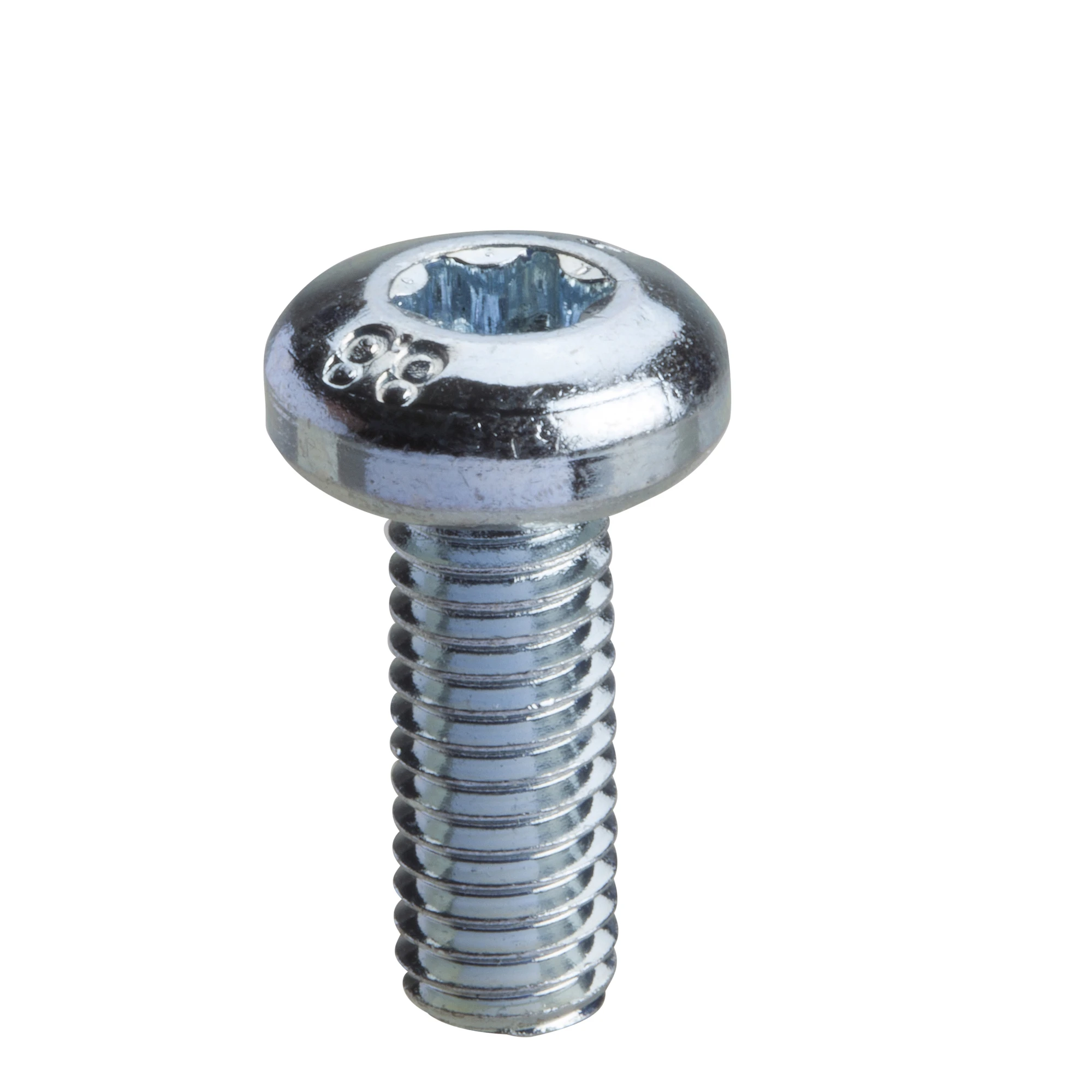 Schneider Electric NSYST30M6 Spacial SF/SM Torx screws, M6, 16mm, pack of 100 pieces (img_001)