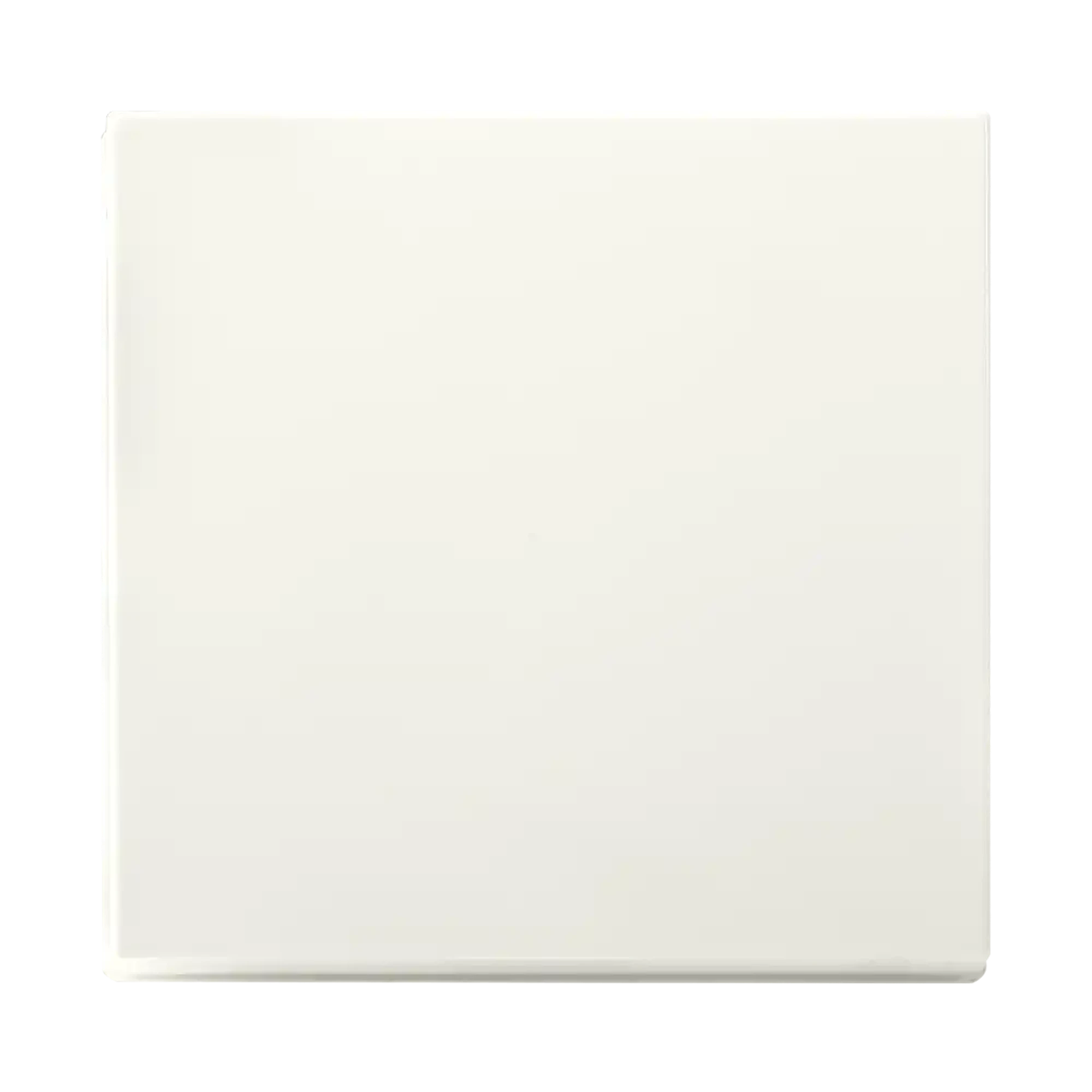 ION INDUSTRIES 80.300.084 Touch dimmer Button Single V1/J1 Alpine White (img_001)
