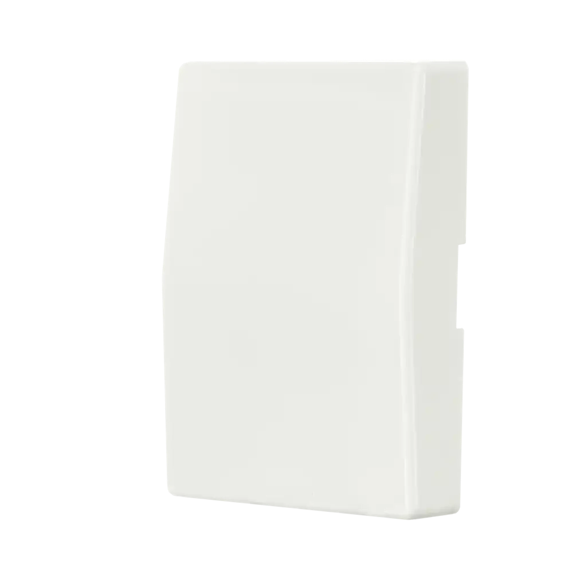 ION INDUSTRIES 20.300.014 Control rocker switch V1/J1 Alpine White (img_002)