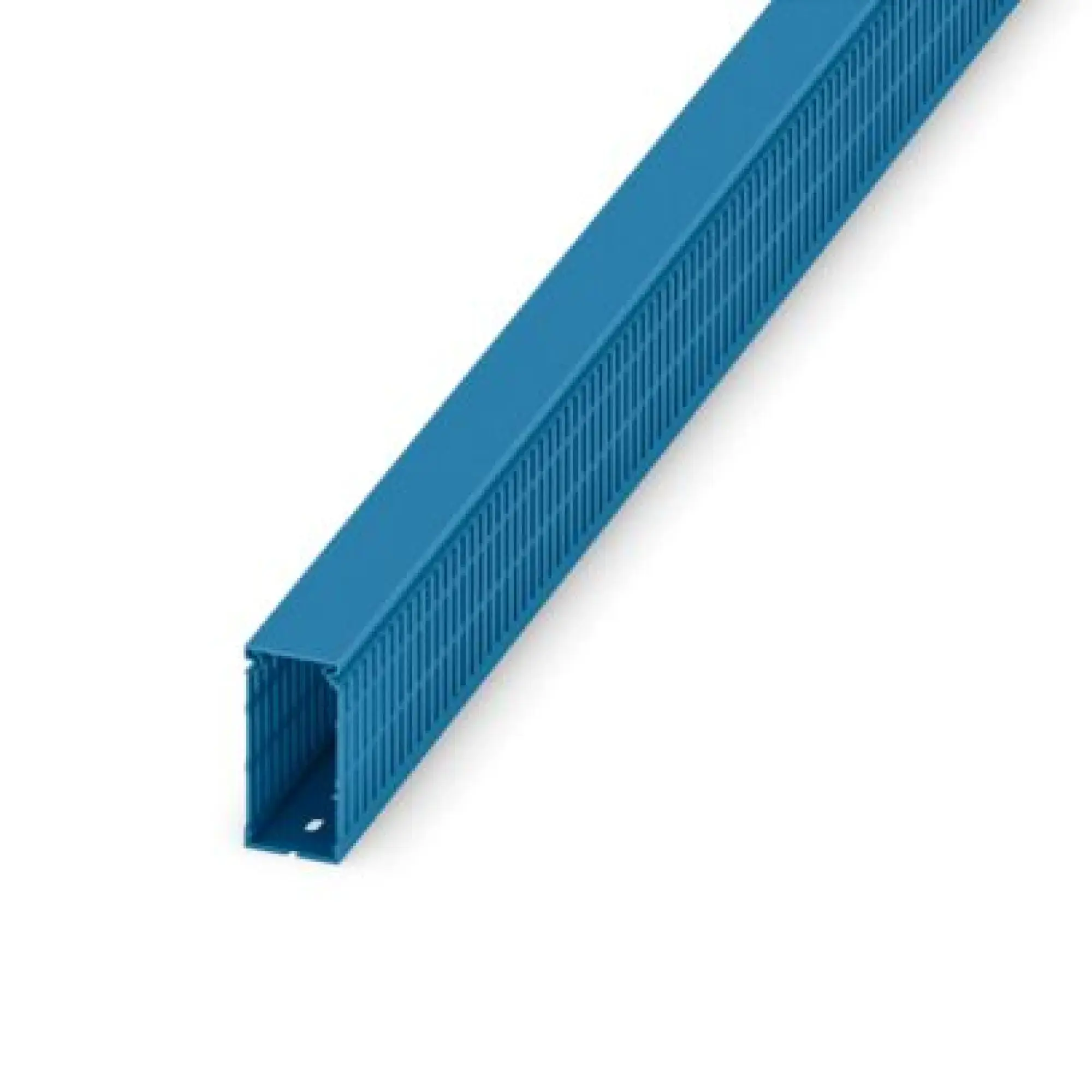 Phoenix Contact 3240311 Cable duct CD 40X80 BU (img_001) Phoenix Contact 3240311 Cable duct CD 40X80 BU (img_001)