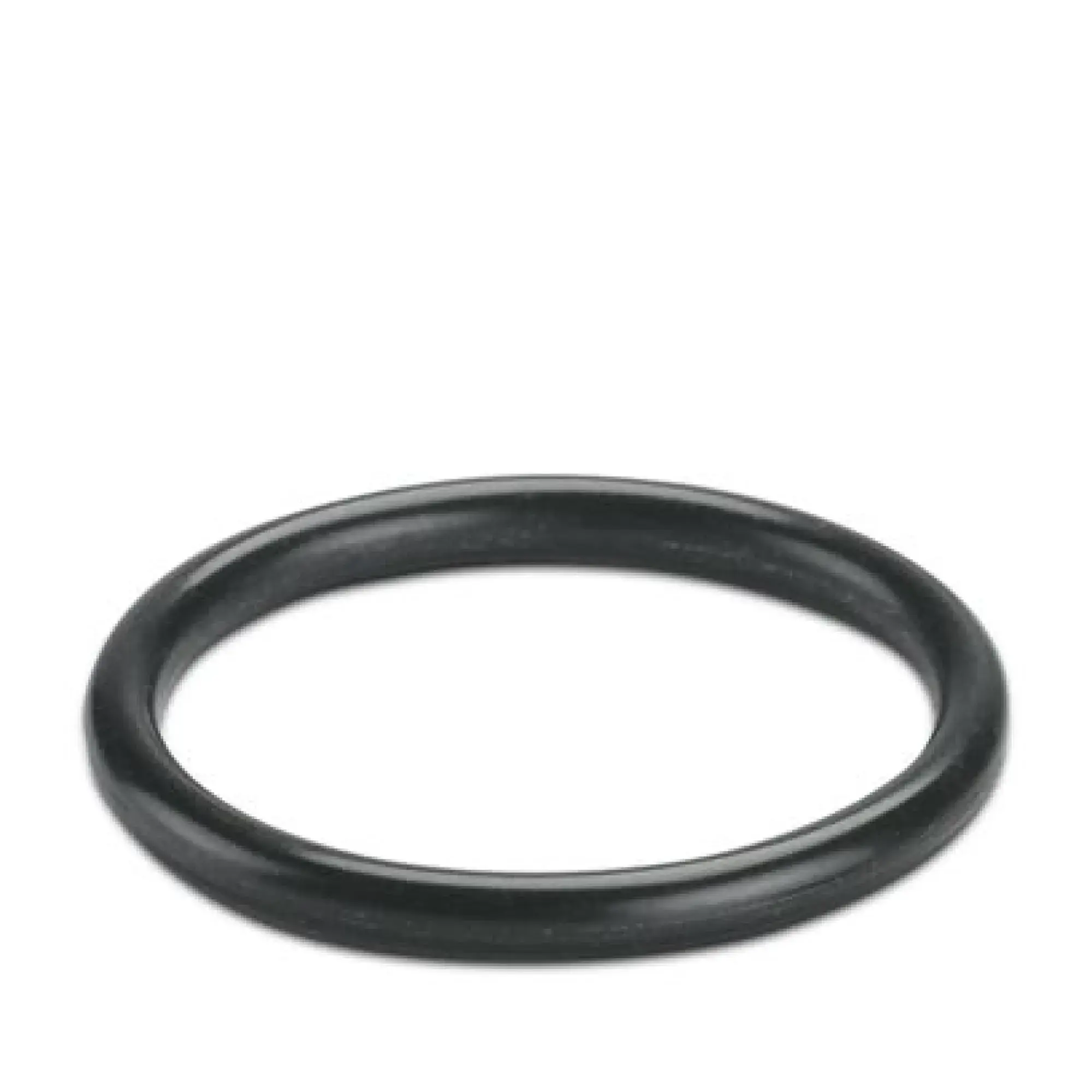 Phoenix Contact 3241197 Sealing ring WP-OR PG16 (img_001)