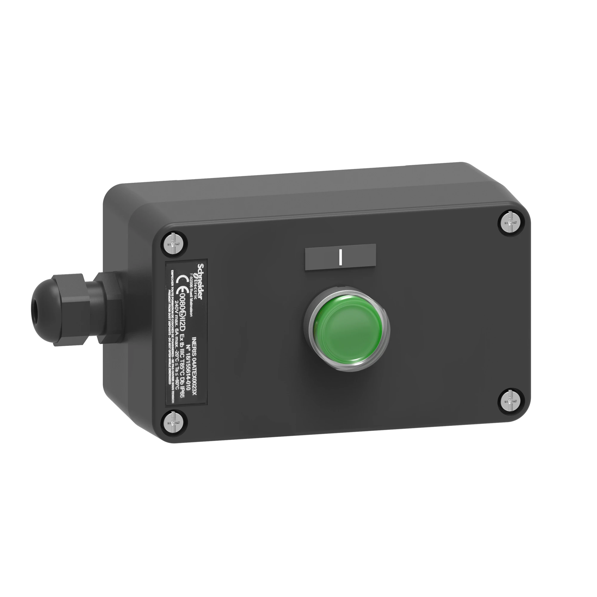 Schneider Electric XAWG100EX ATEX PUSH BUTTON STATION (INSULATED) 1 GREEN START BUTTON (img_001)