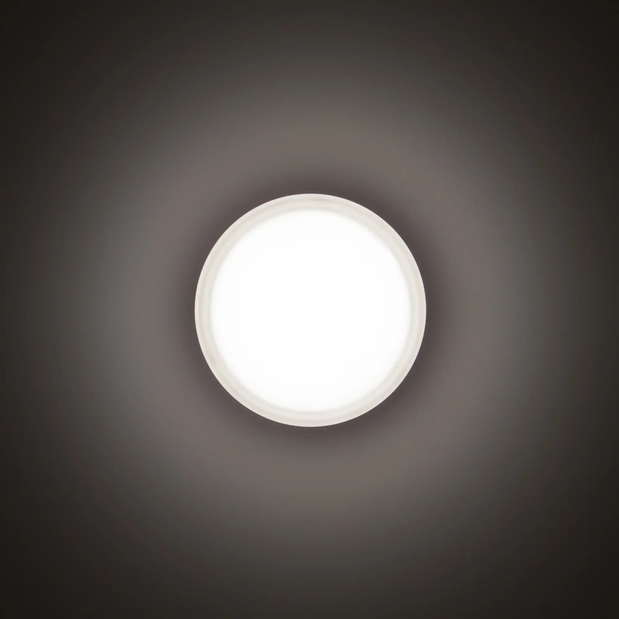 Performance iN Lighting 3109458 LED-Wand- und Deckenleuchte 3000K 16W statisch sym. extrabreite Streuoptik 3109458 (img_002) Performance iN Lighting 3109458 LED-Wand- und Deckenleuchte 3000K 16W statisch sym. extrabreite Streuoptik 3109458 (img_002)