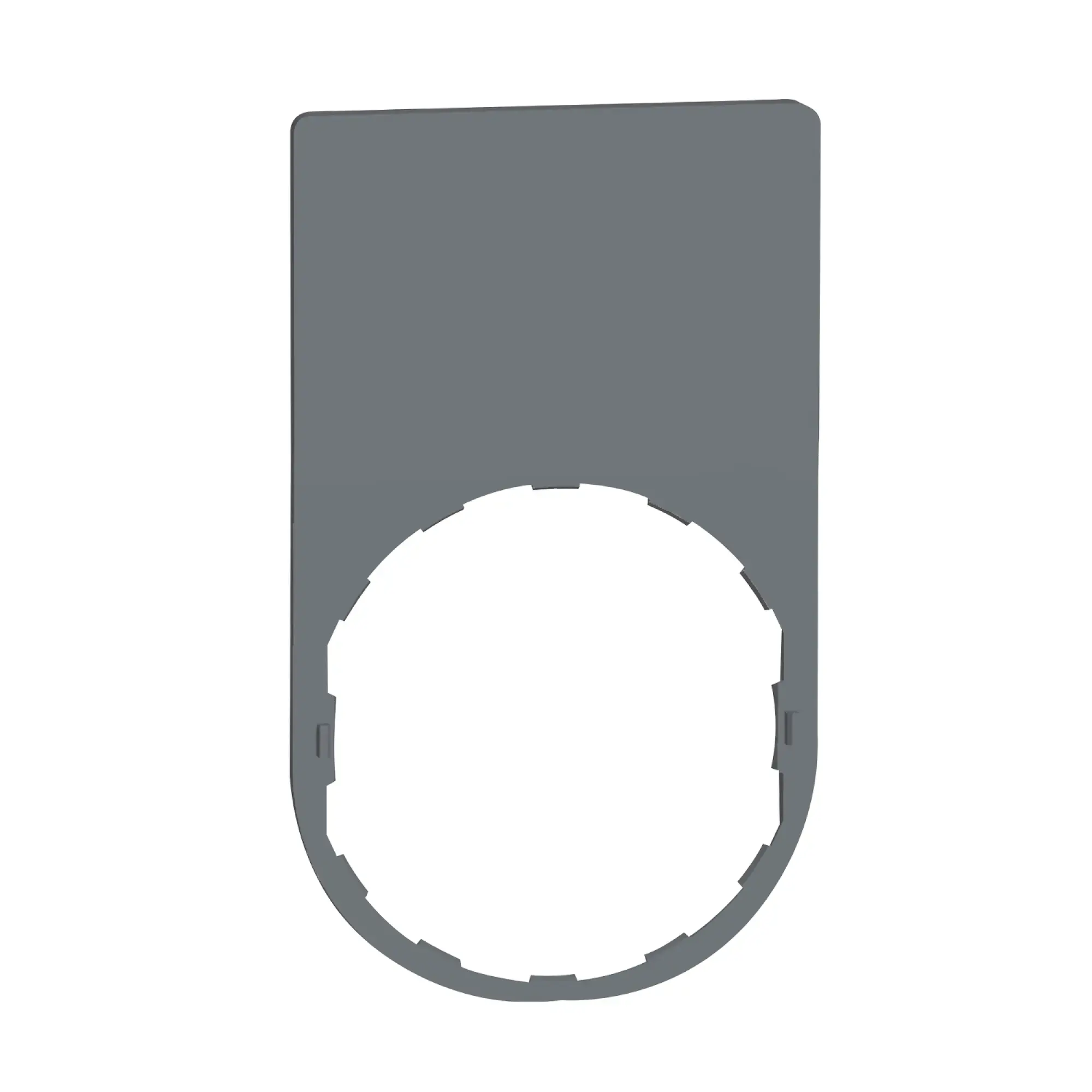 Schneider Electric ZBYP6101C0 Label holder 30x50mm, without plate, unlabelled, for Harmony 22mm, in gray (img_002) Schneider Electric ZBYP6101C0 Label holder 30x50mm, without plate, unlabelled, for Harmony 22mm, in gray (img_002)