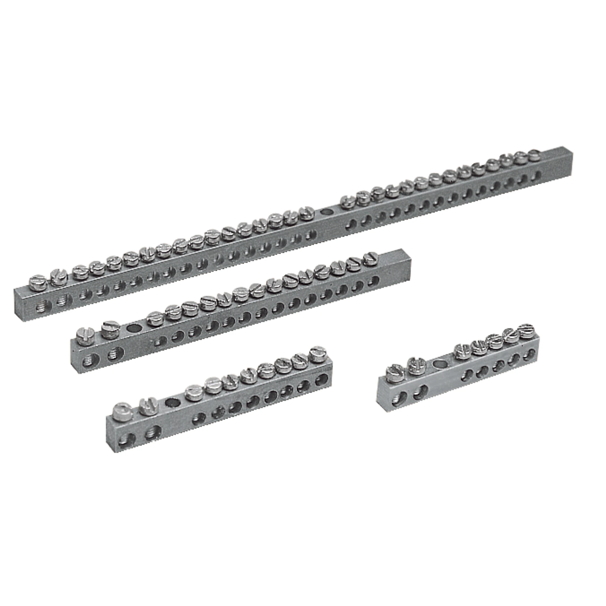 Schneider Electric NSYRBL216296M Grounding rails 2x16+29x6mm2 Composition: 10 pieces (img_001)