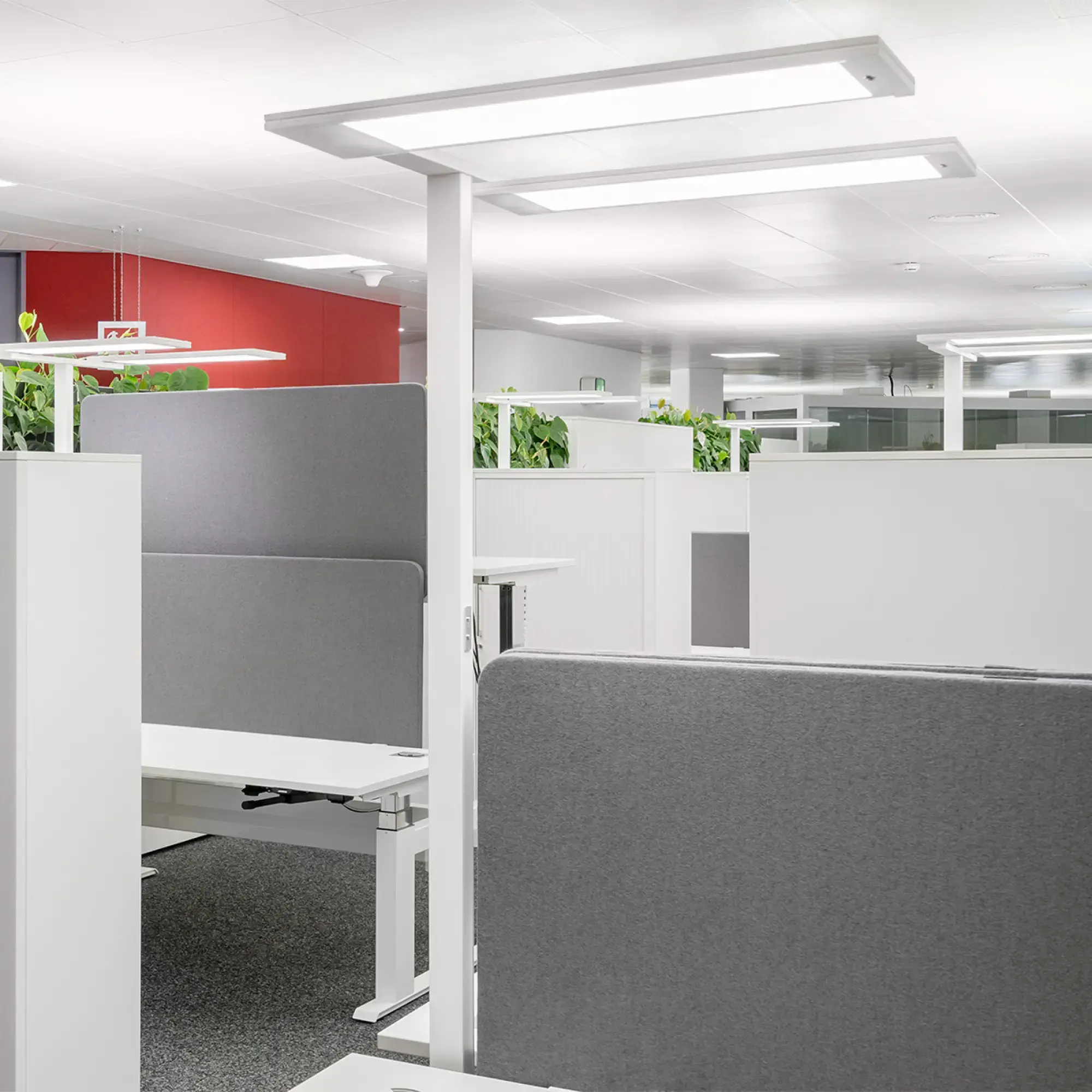 Performance iN Lighting 8720762708430 LED-Stehleuchte 4000K 106W Lichtsensor Mikroprisma d+i 8720762708430 (img_003) Performance iN Lighting 8720762708430 LED-Stehleuchte 4000K 106W Lichtsensor Mikroprisma d+i 8720762708430 (img_003)