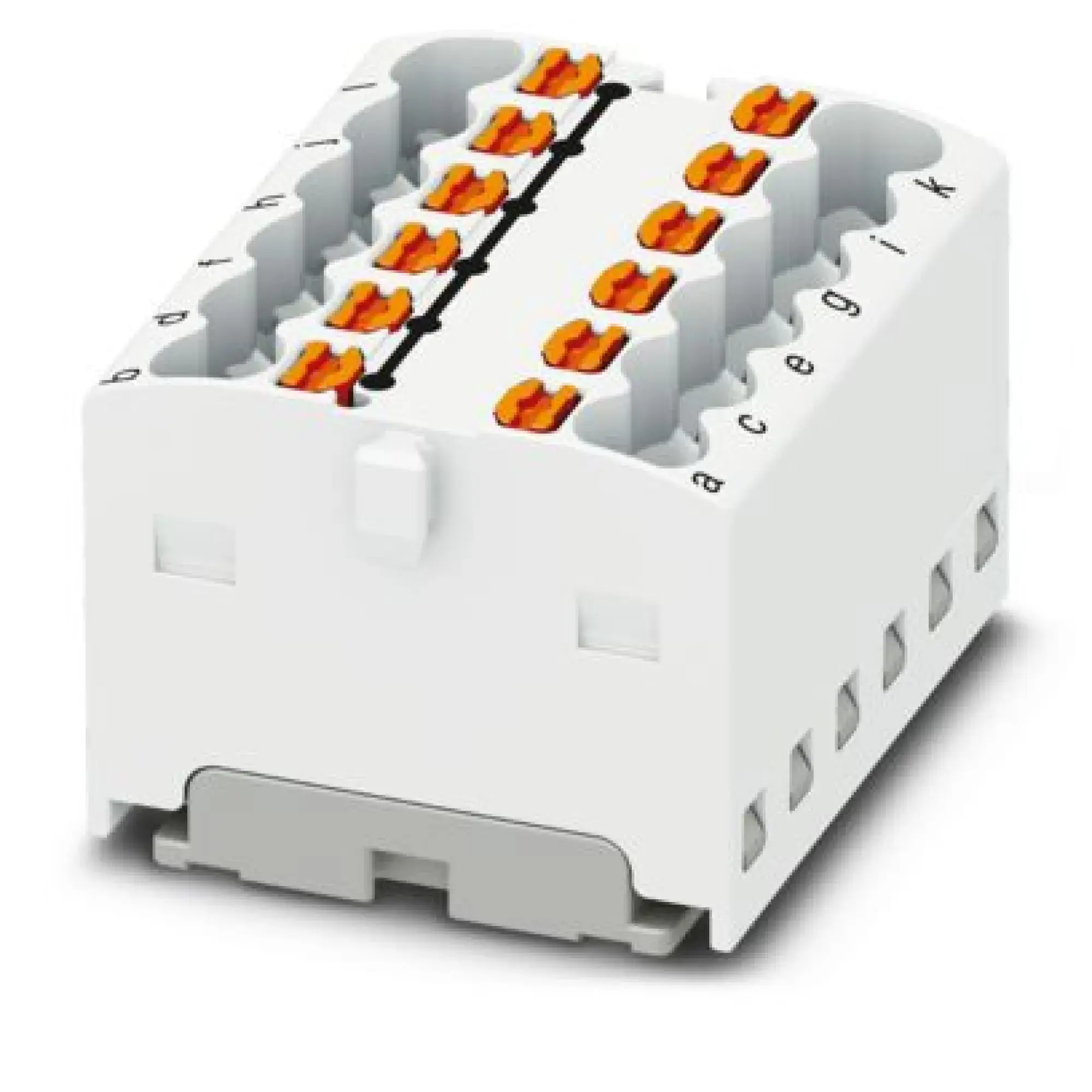 Phoenix Contact 3002891 Distribution block PTFIX 12X1,5-G WH (img_001)