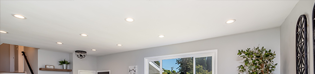 Downlight Downlight