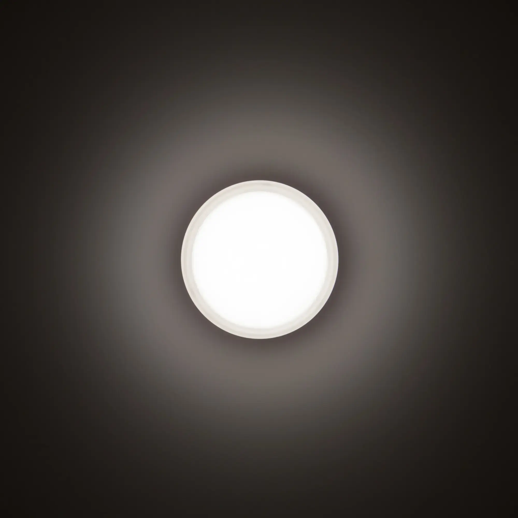 Performance iN Lighting 3109455 LED-Wand- und Deckenleuchte 4000K 11W statisch sym. extrabreite Streuoptik 3109455 (img_002) Performance iN Lighting 3109455 LED-Wand- und Deckenleuchte 4000K 11W statisch sym. extrabreite Streuoptik 3109455 (img_002)