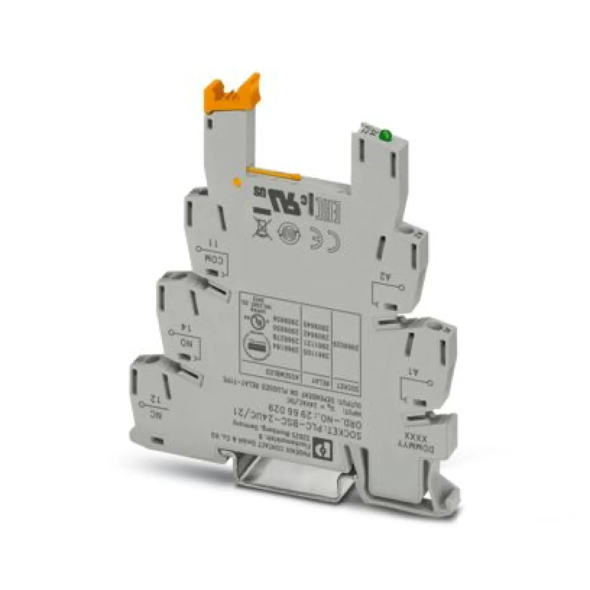 Phoenix Contact 2966029 Relay base PLC-BSC- 24UC/21 (img_001)