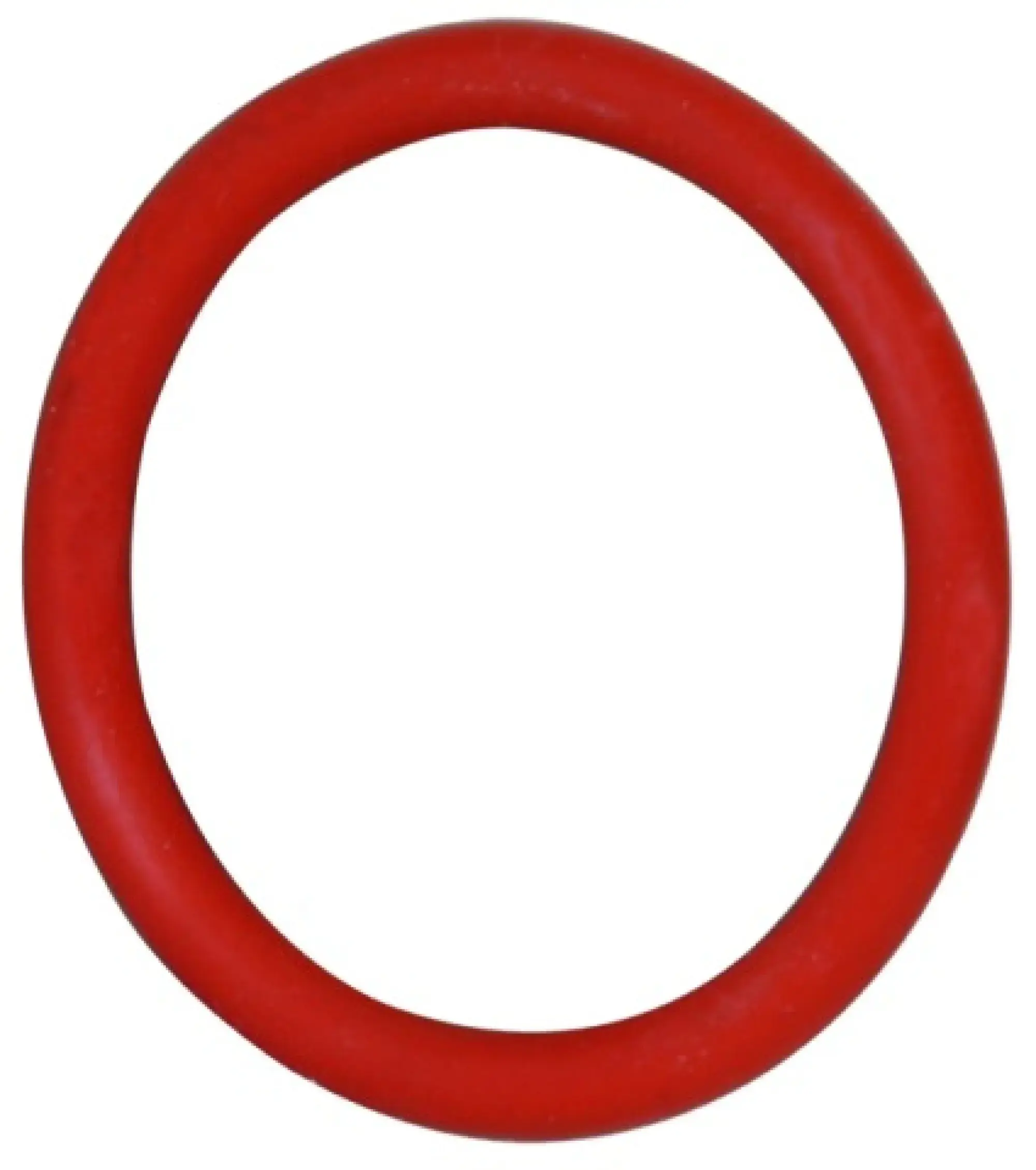 Dehn 767779 Sealing ring for PHE III test prod (img_002)