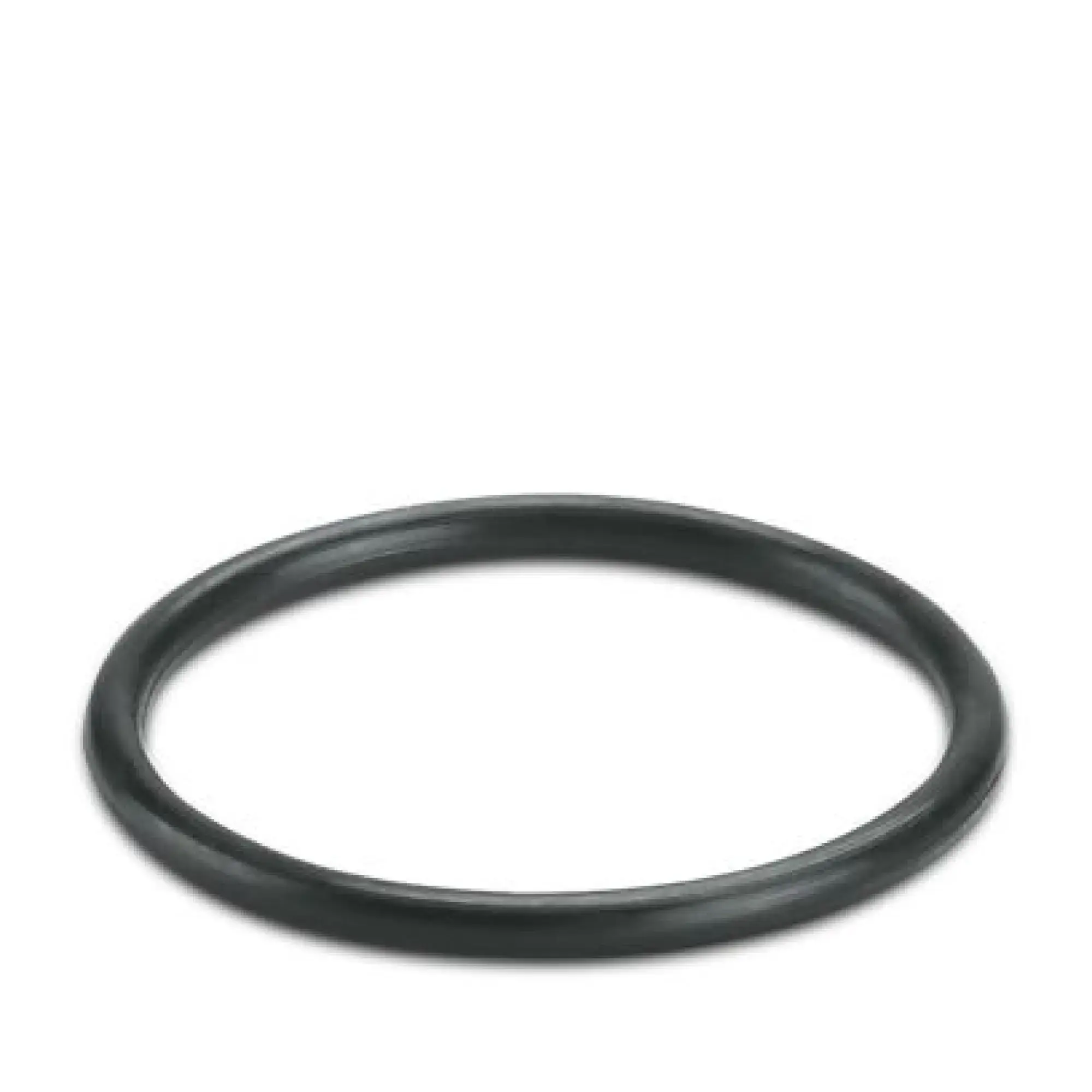 Phoenix Contact 3241198 Sealing ring WP-OR PG21 (img_001)