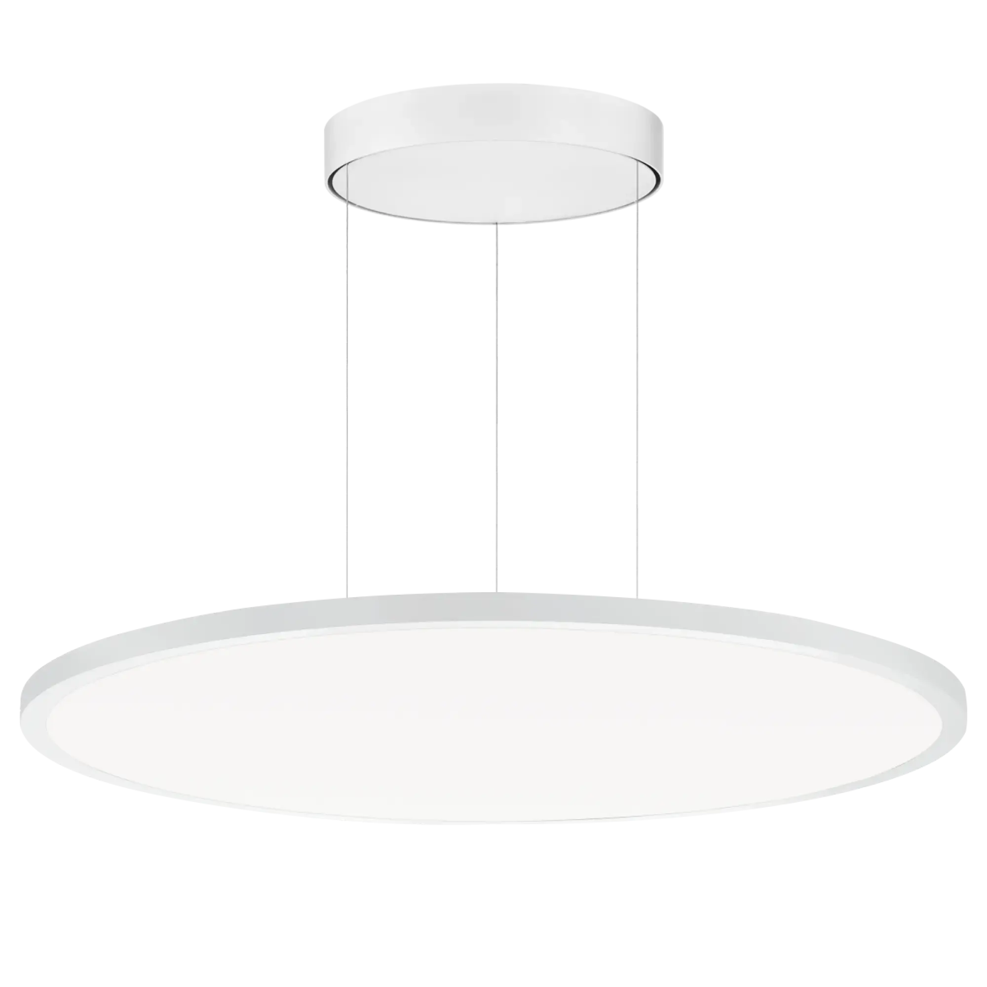 Performance iN Lighting 3124096 LED-Pendelleuchte 2700-6500K 67W DALI DT8 opalweißer Diffusor d+i 3124096 (img_004)