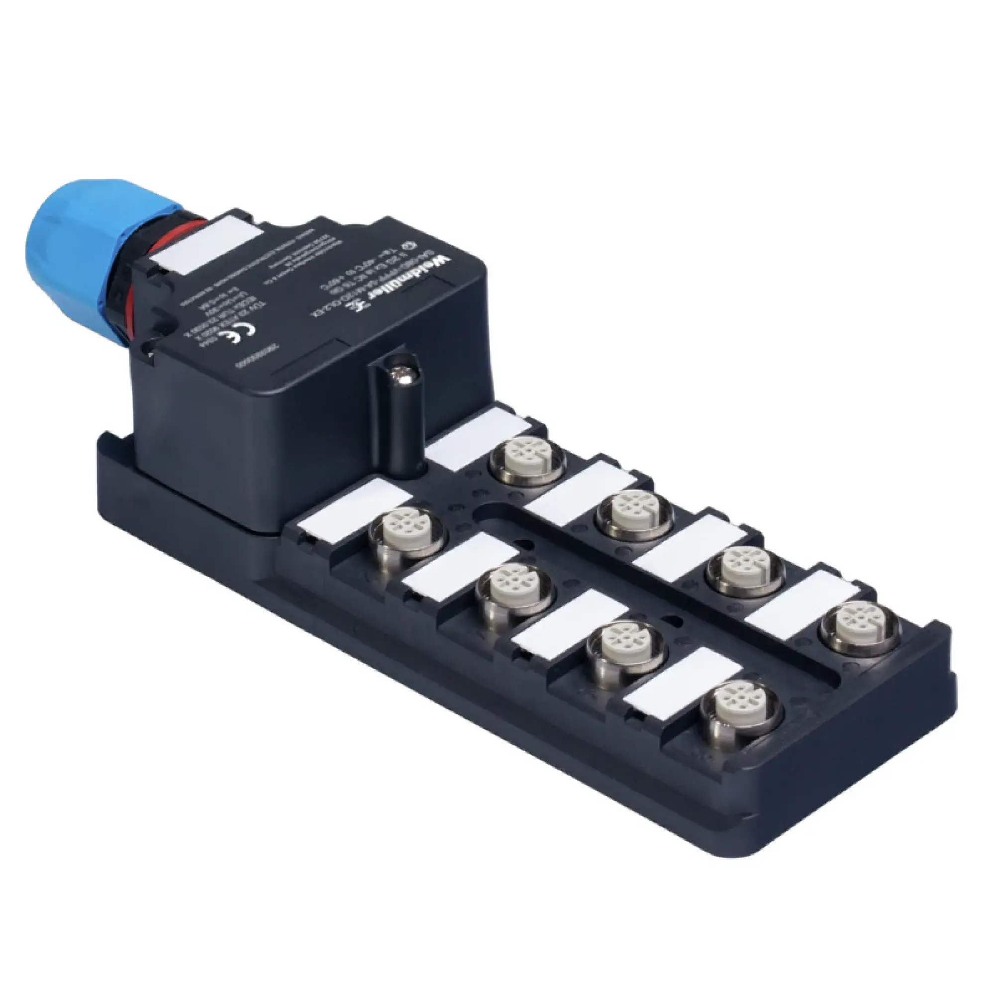 Weidmüller 1894380000 Sensor-actuator passive distributor (without cable), Hood version Ex, M12, 30 V, A-coded, LED: No, LED initiator: No, Wiring type: 2-wire (img_001) Weidmüller 1894380000 Sensor-actuator passive distributor (without cable), Hood version Ex, M12, 30 V, A-coded, LED: No, LED initiator: No, Wiring type: 2-wire (img_001)