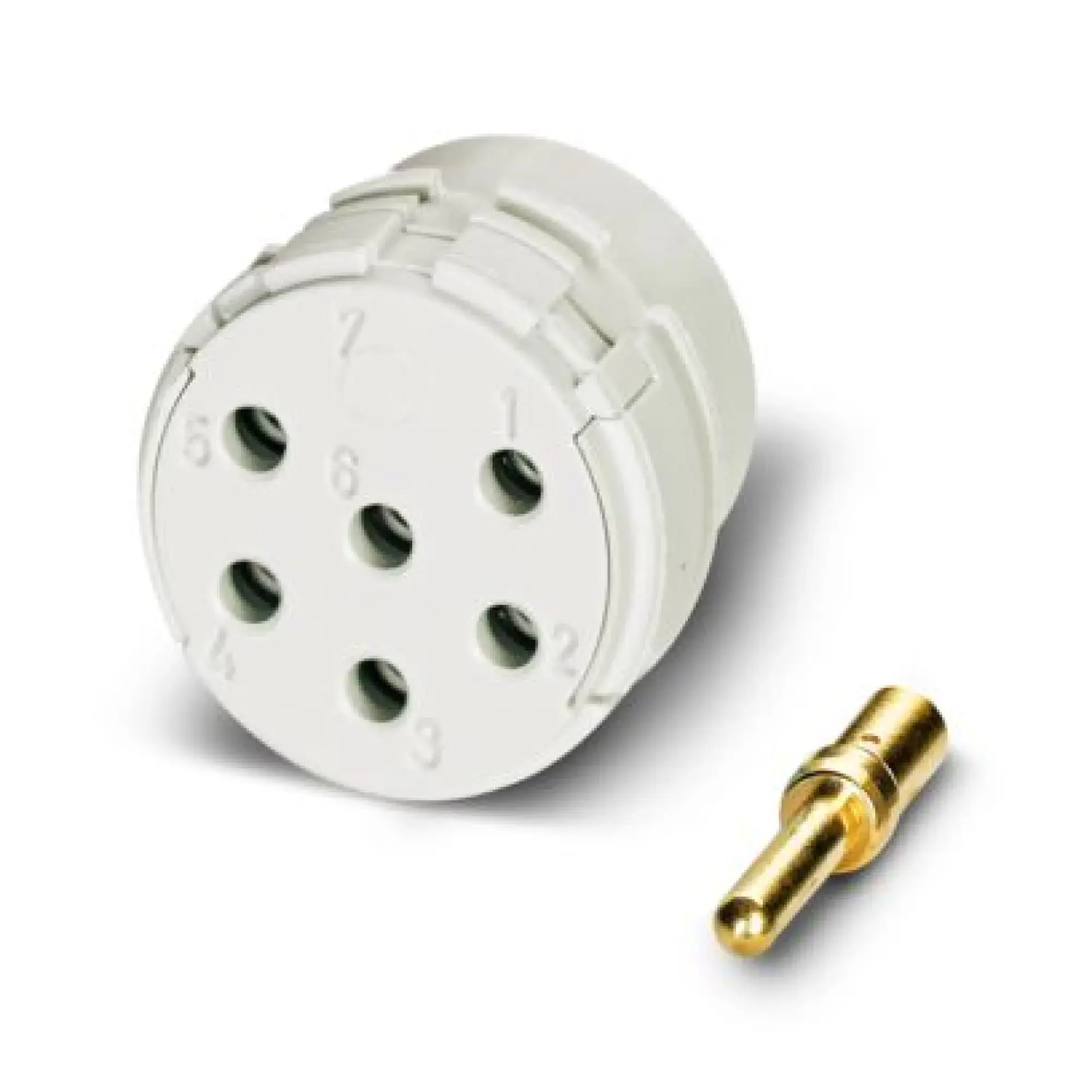 Phoenix Contact 1598292 Contact insert RC-12P2N8D0000 (img_001)