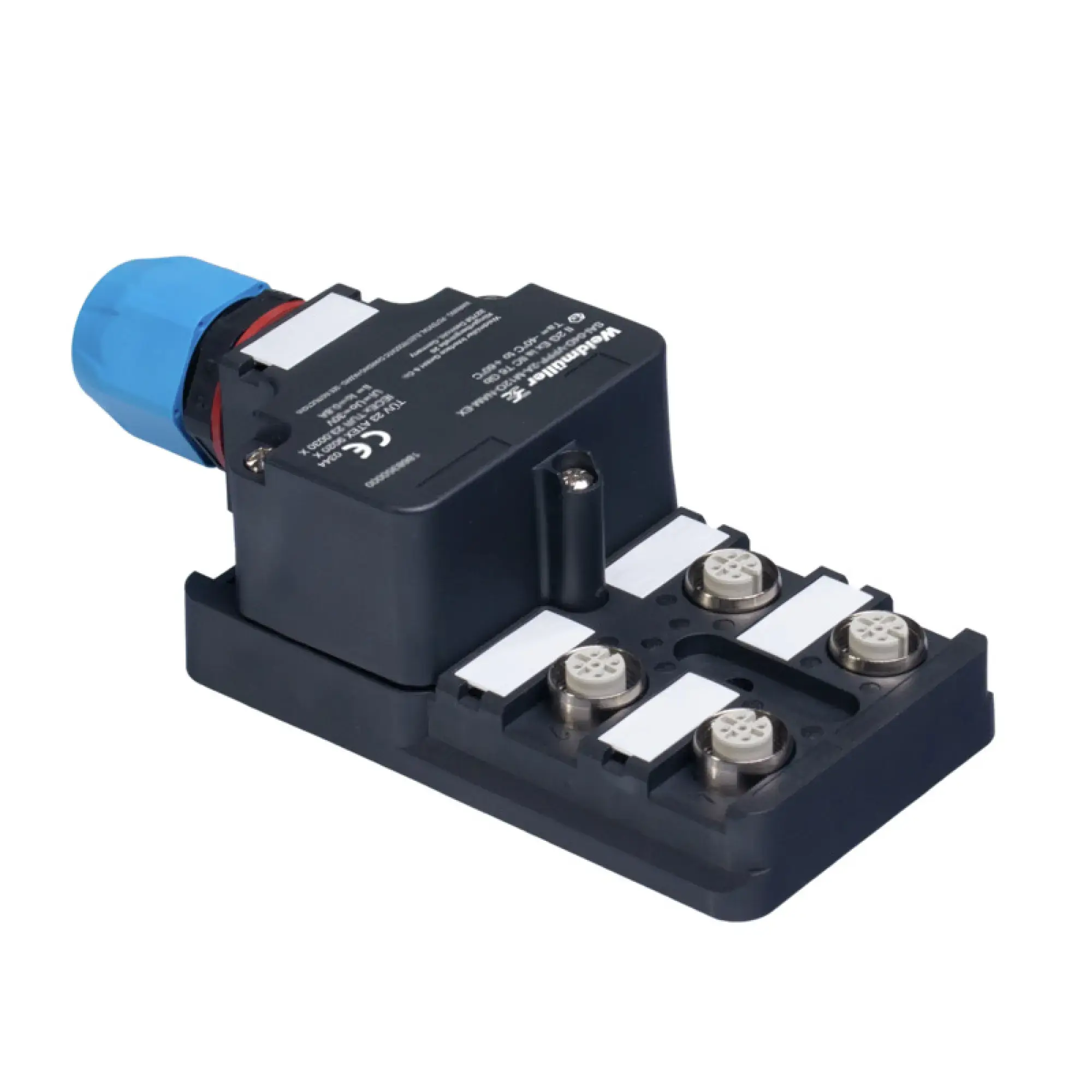 Weidmüller 1868350000 Sensor-actuator passive distributor (without cable), Hood version Ex, M12, 30 V, A-coded, LED: No, LED initiator: No, Wiring type: 2-wire (img_001) Weidmüller 1868350000 Sensor-actuator passive distributor (without cable), Hood version Ex, M12, 30 V, A-coded, LED: No, LED initiator: No, Wiring type: 2-wire (img_001)